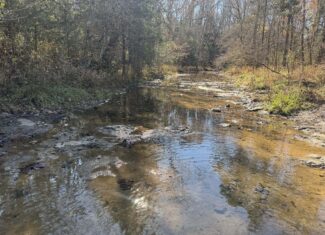 Hunting Land For Sale In North Central Arkansas