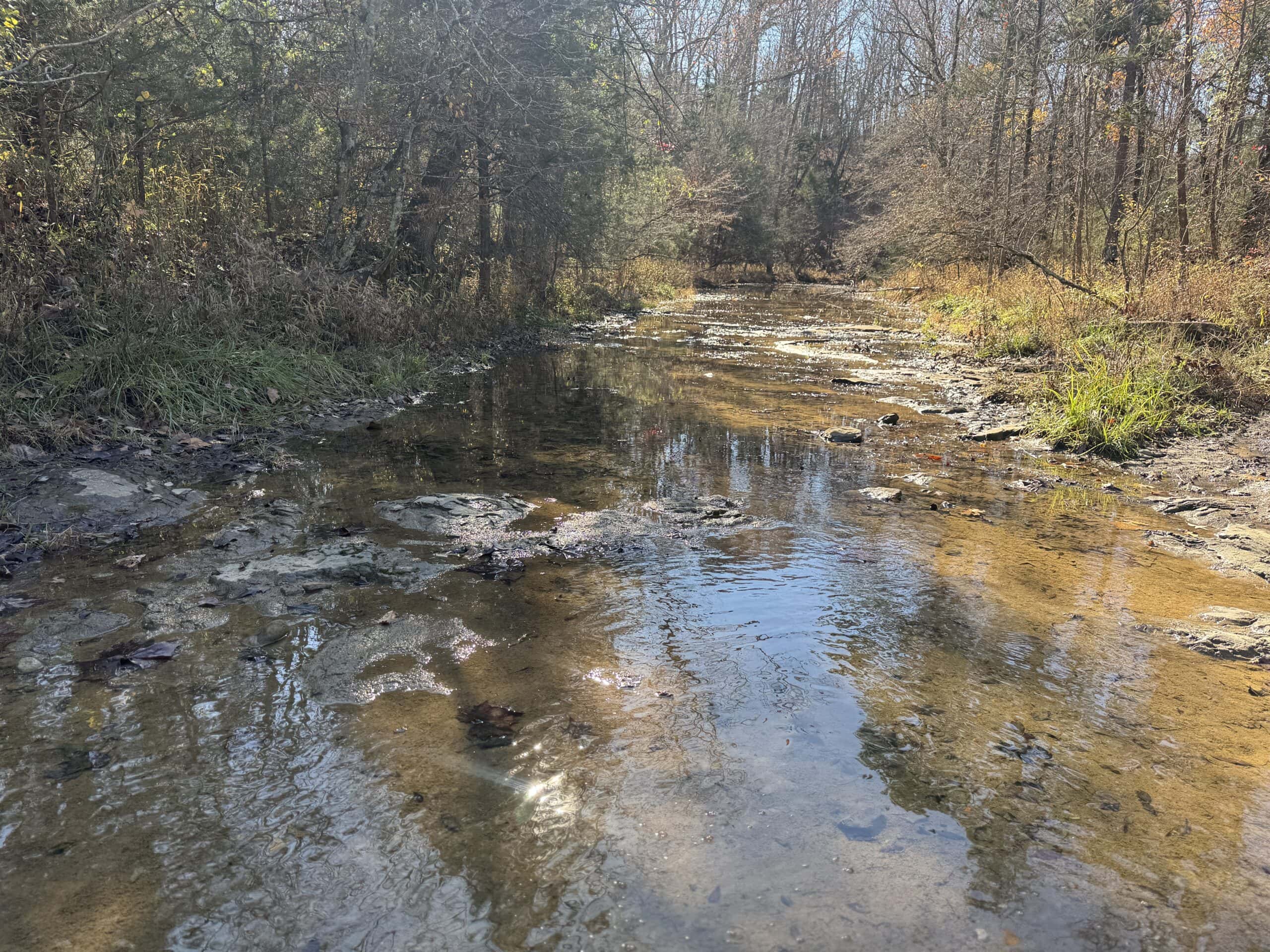 Hunting Land For Sale In North Central Arkansas