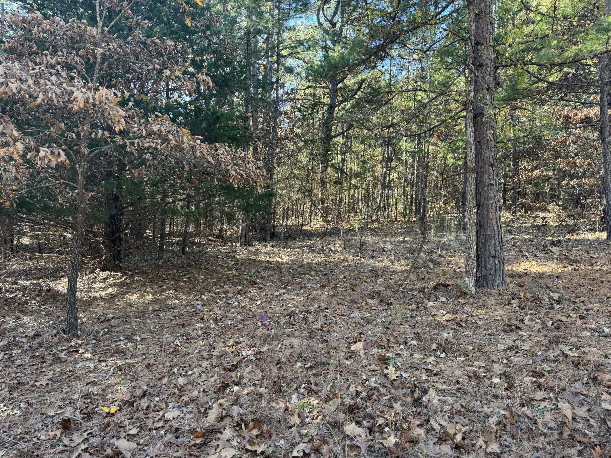 Hunting Land For Sale In North Central Arkansas