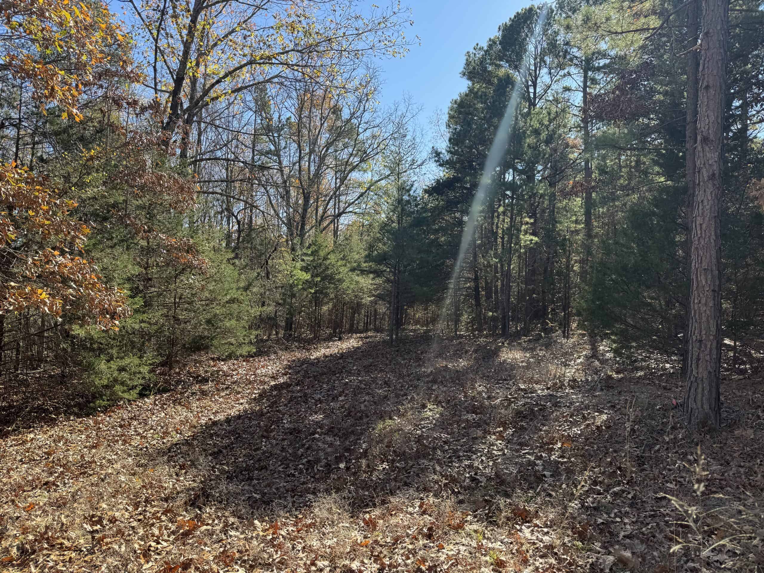 Hunting Land For Sale In North Central Arkansas