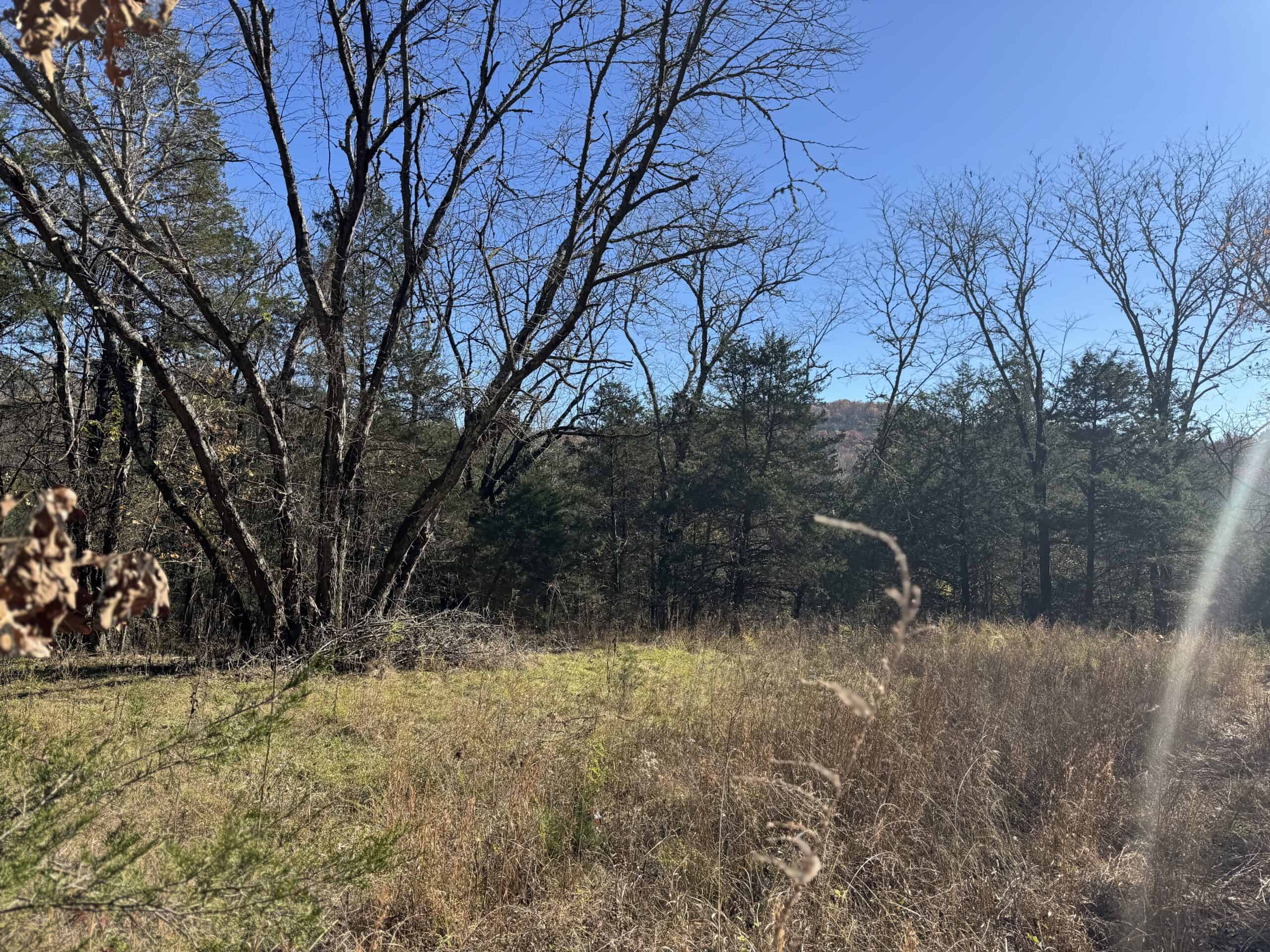 Hunting Land For Sale In North Central Arkansas