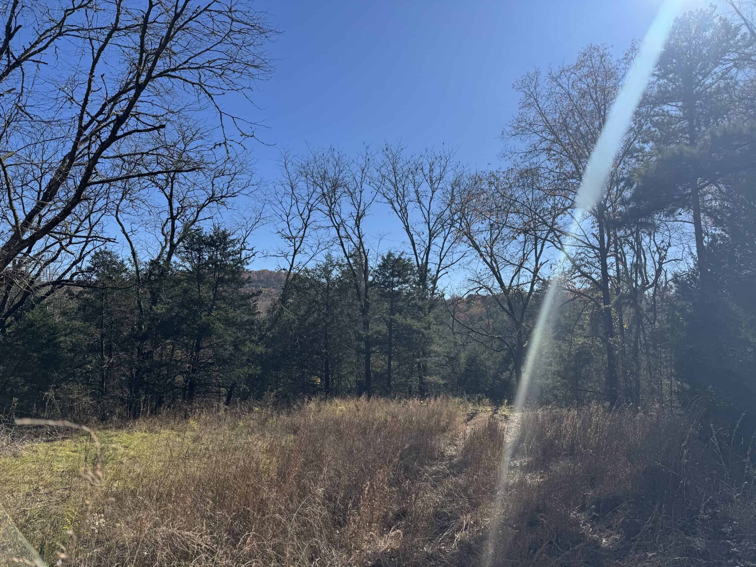 Hunting Land For Sale In North Central Arkansas