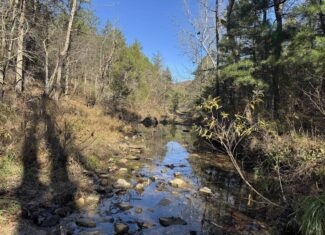 Hunting Land For Sale In North Central Arkansas