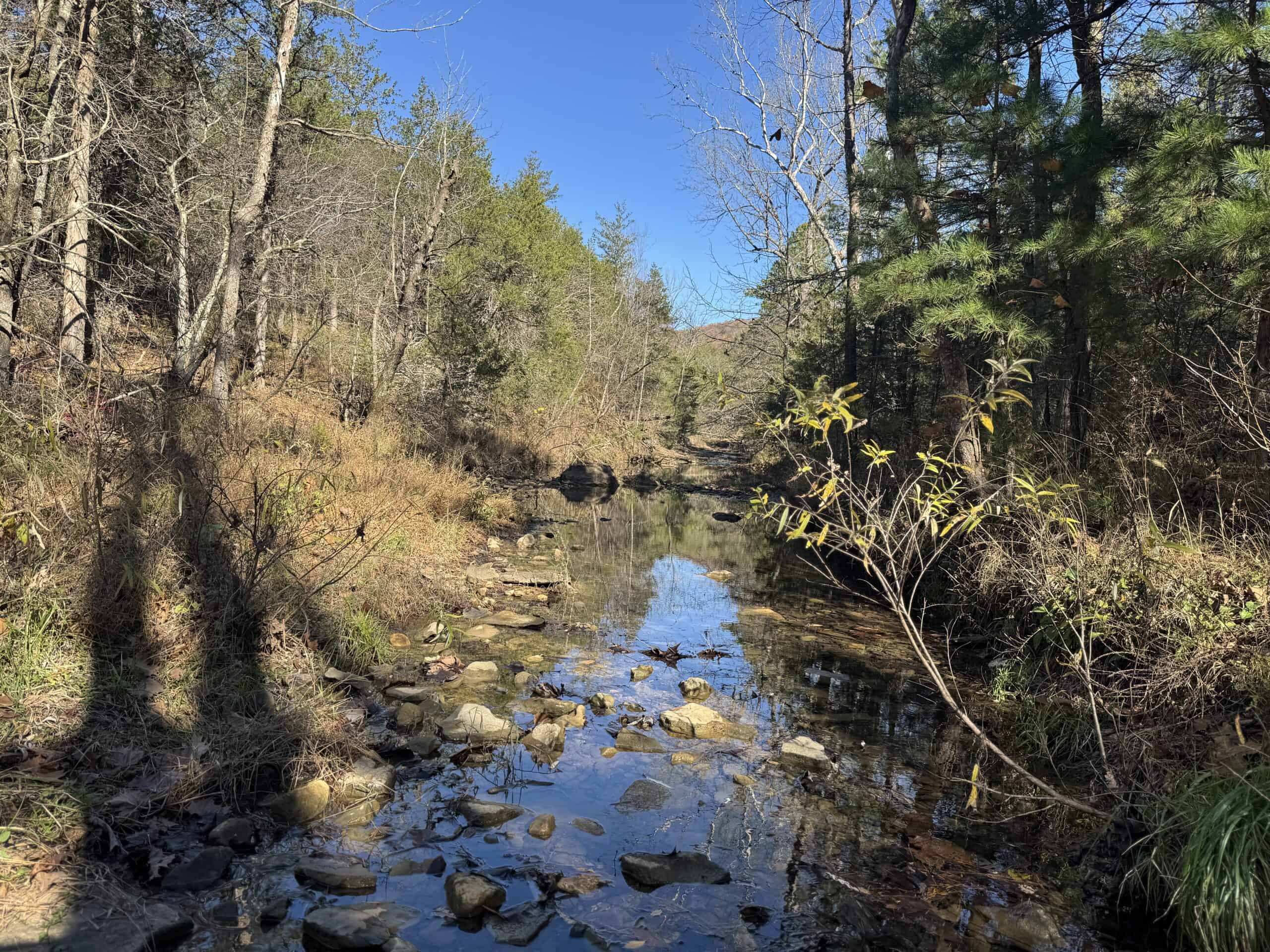 Hunting Land For Sale In North Central Arkansas