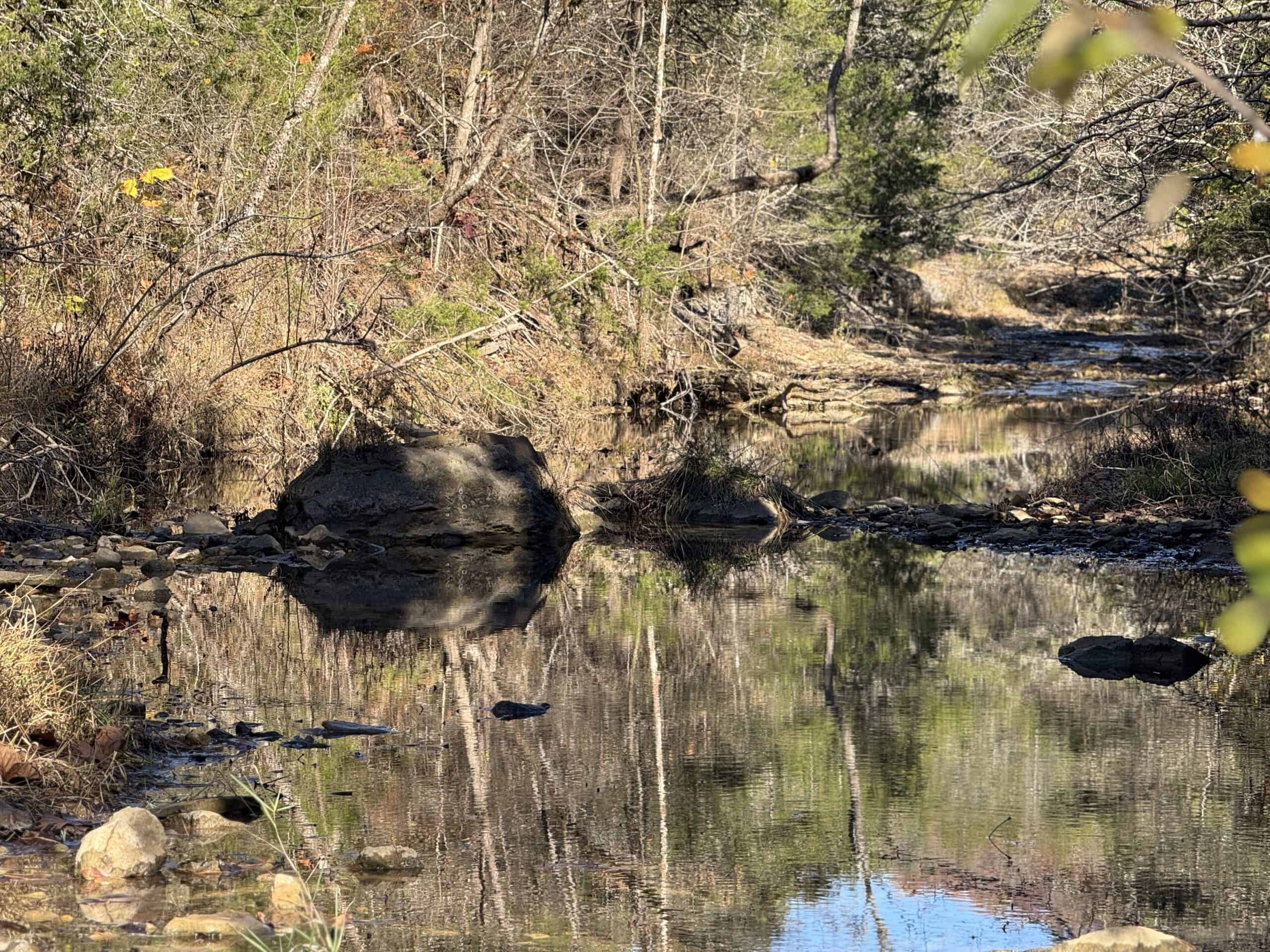 Hunting Land For Sale In North Central Arkansas