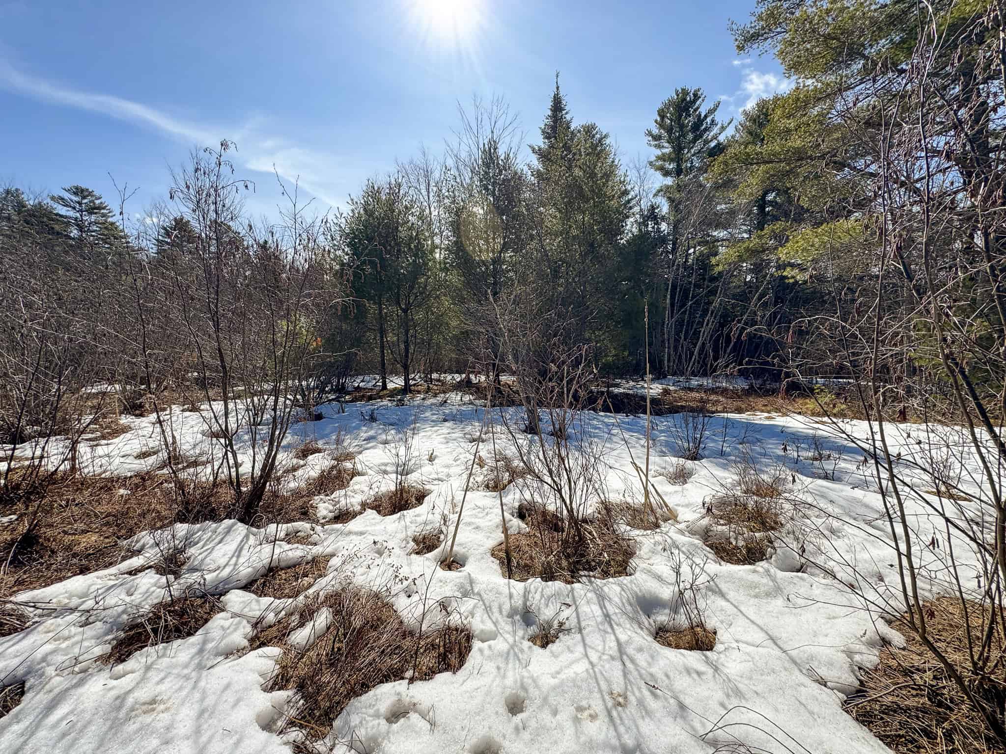 27.5 Acre Wooded Parcel – Brunswick, Maine