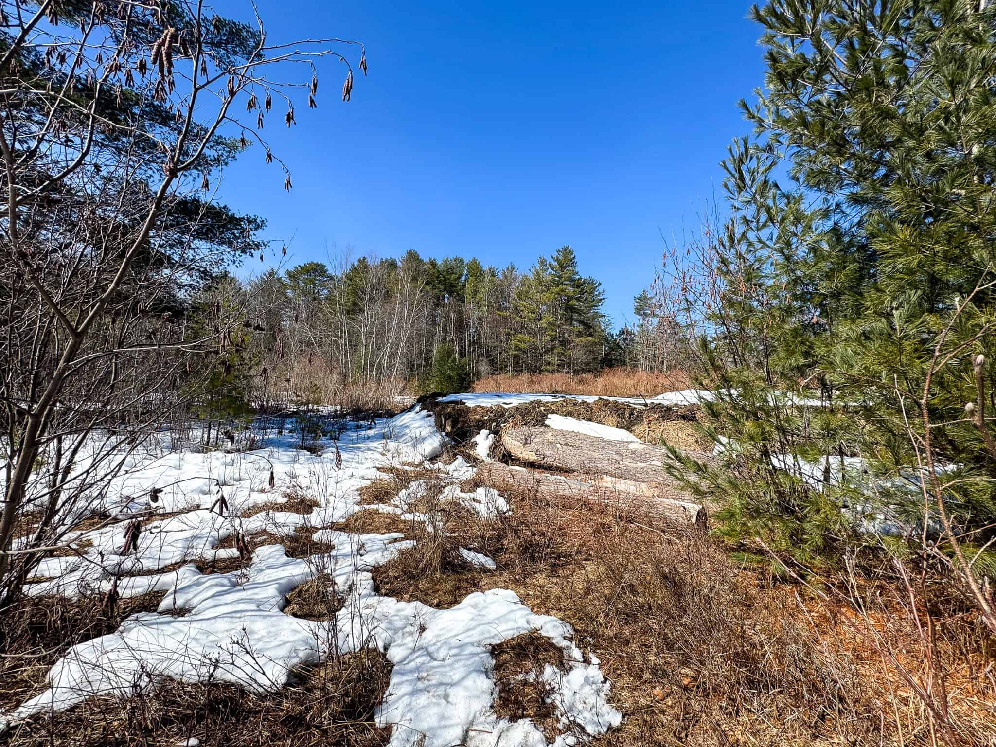 27.5 Acre Wooded Parcel – Brunswick, Maine