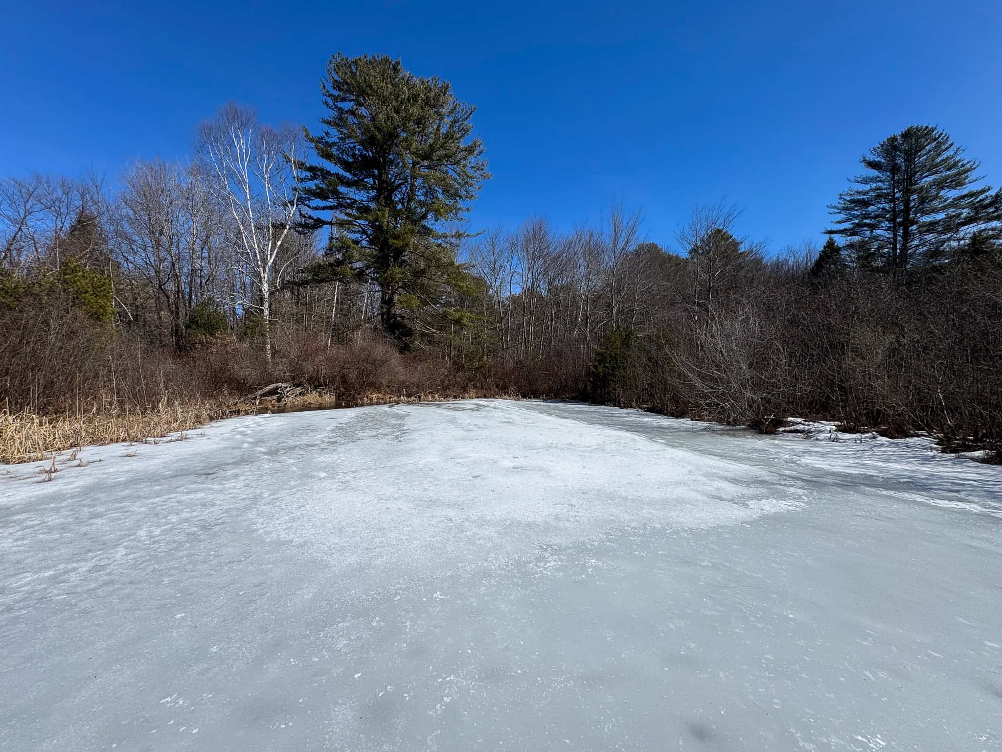27.5 Acre Wooded Parcel – Brunswick, Maine
