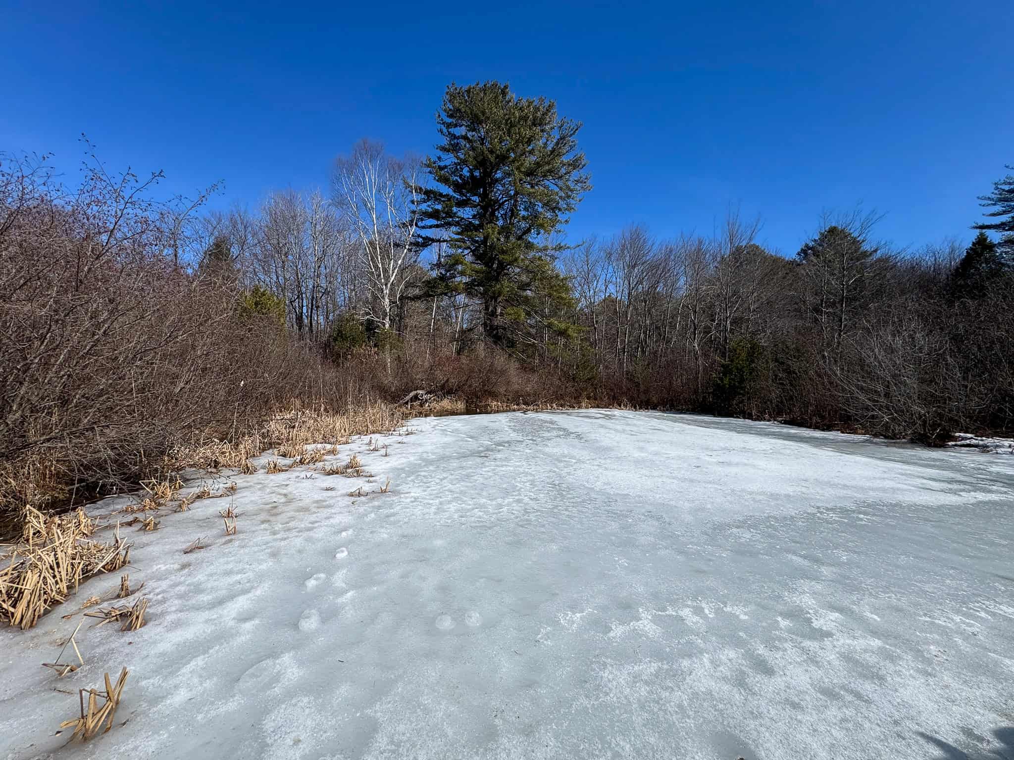 27.5 Acre Wooded Parcel – Brunswick, Maine