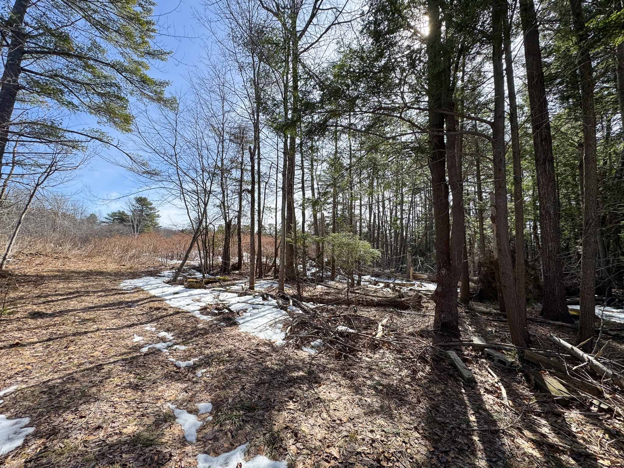 27.5 Acre Wooded Parcel – Brunswick, Maine
