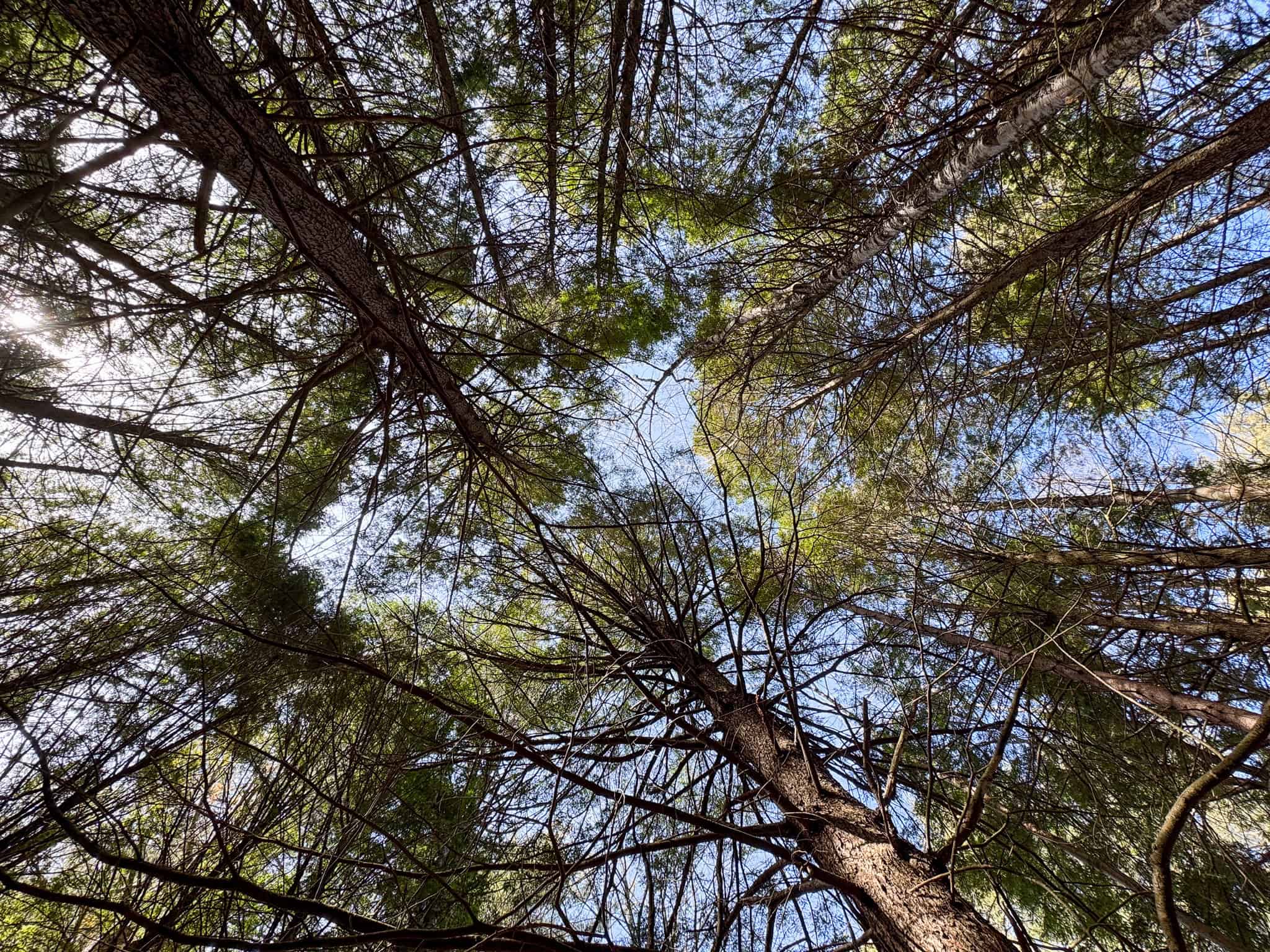 27.5 Acre Wooded Parcel – Brunswick, Maine