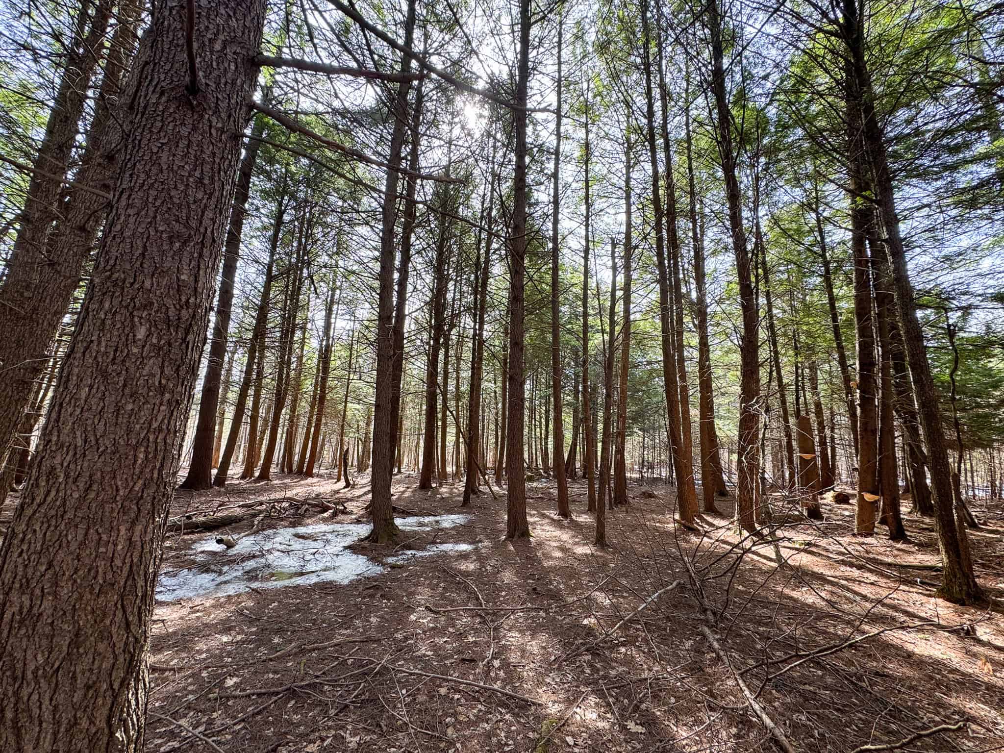 27.5 Acre Wooded Parcel – Brunswick, Maine