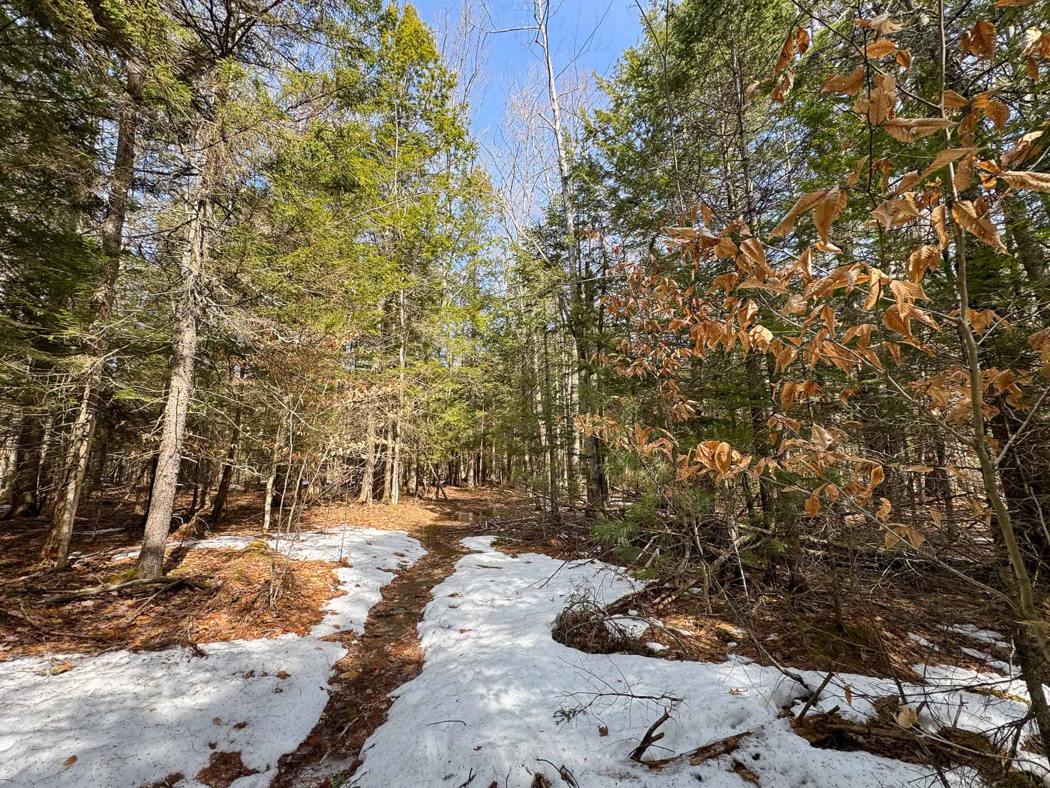 27.5 Acre Wooded Parcel – Brunswick, Maine