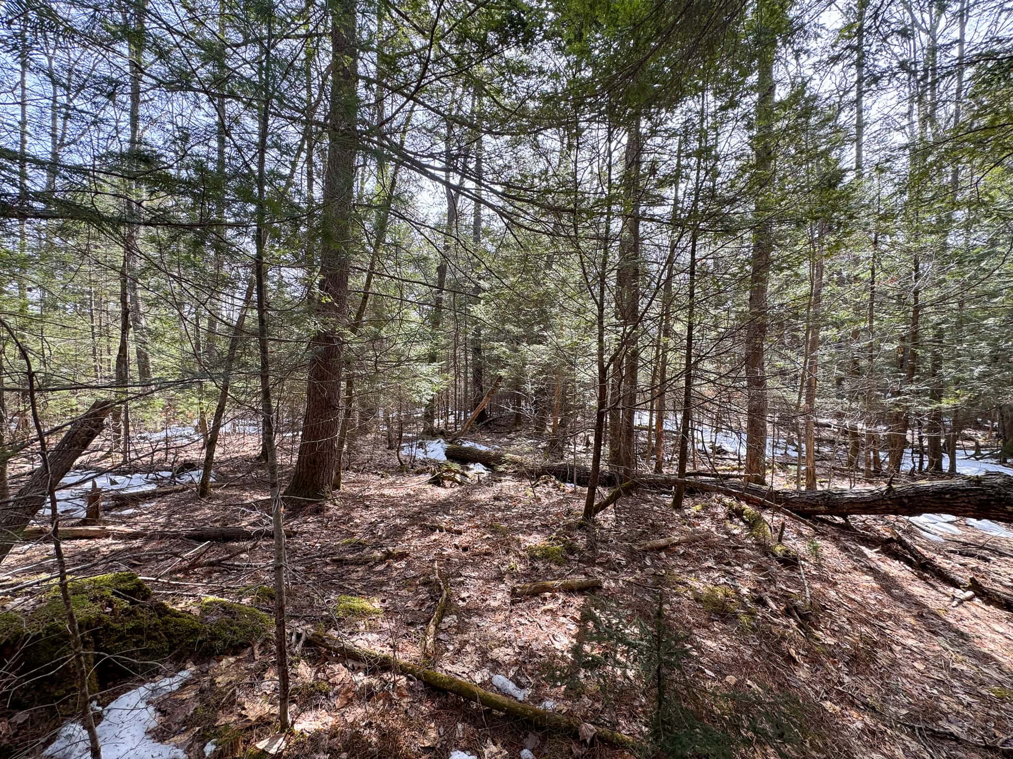 27.5 Acre Wooded Parcel – Brunswick, Maine