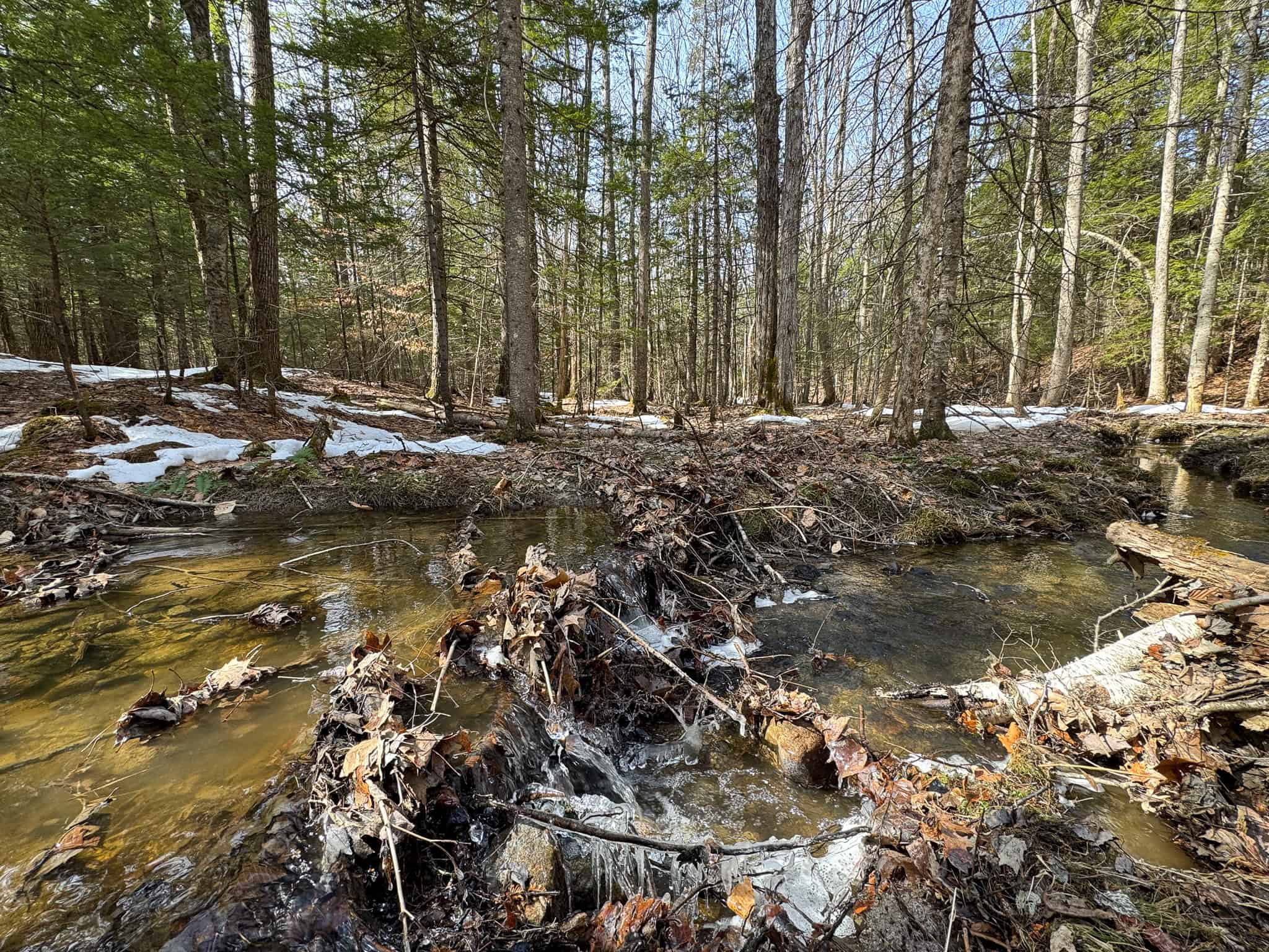27.5 Acre Wooded Parcel – Brunswick, Maine