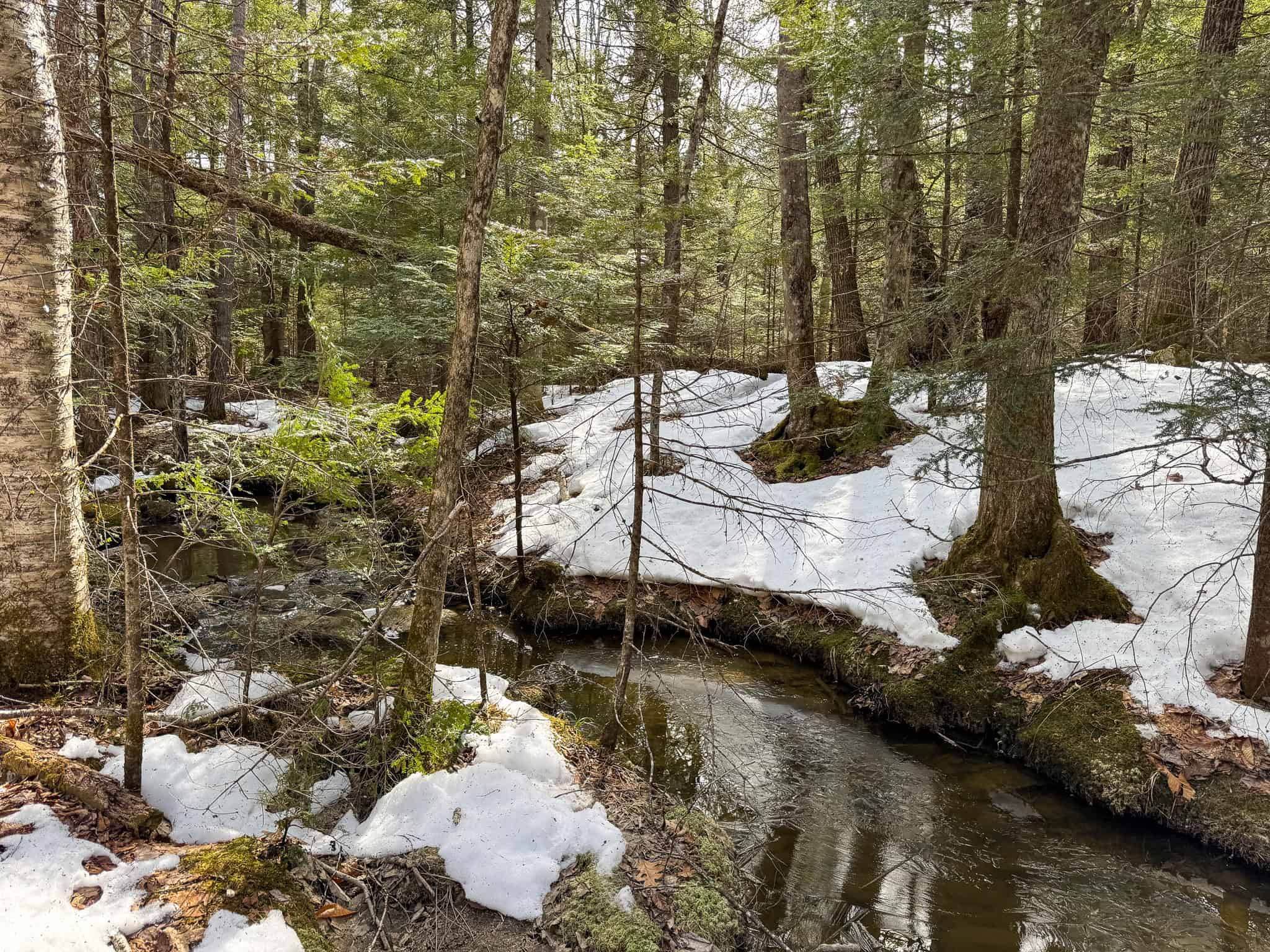 27.5 Acre Wooded Parcel – Brunswick, Maine