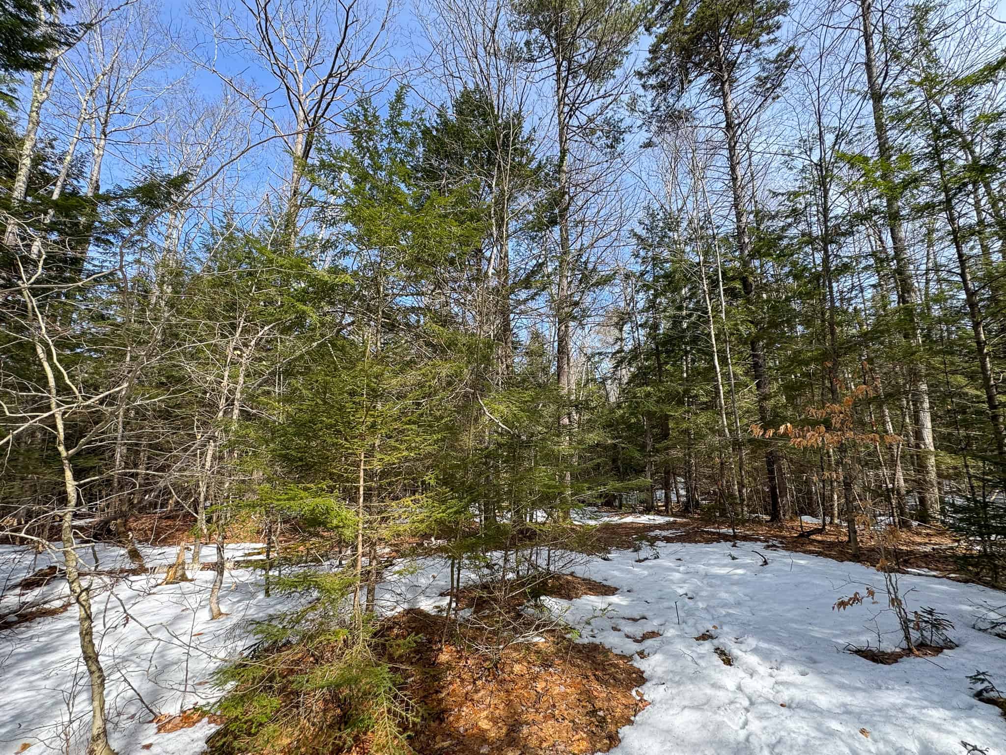 27.5 Acre Wooded Parcel – Brunswick, Maine