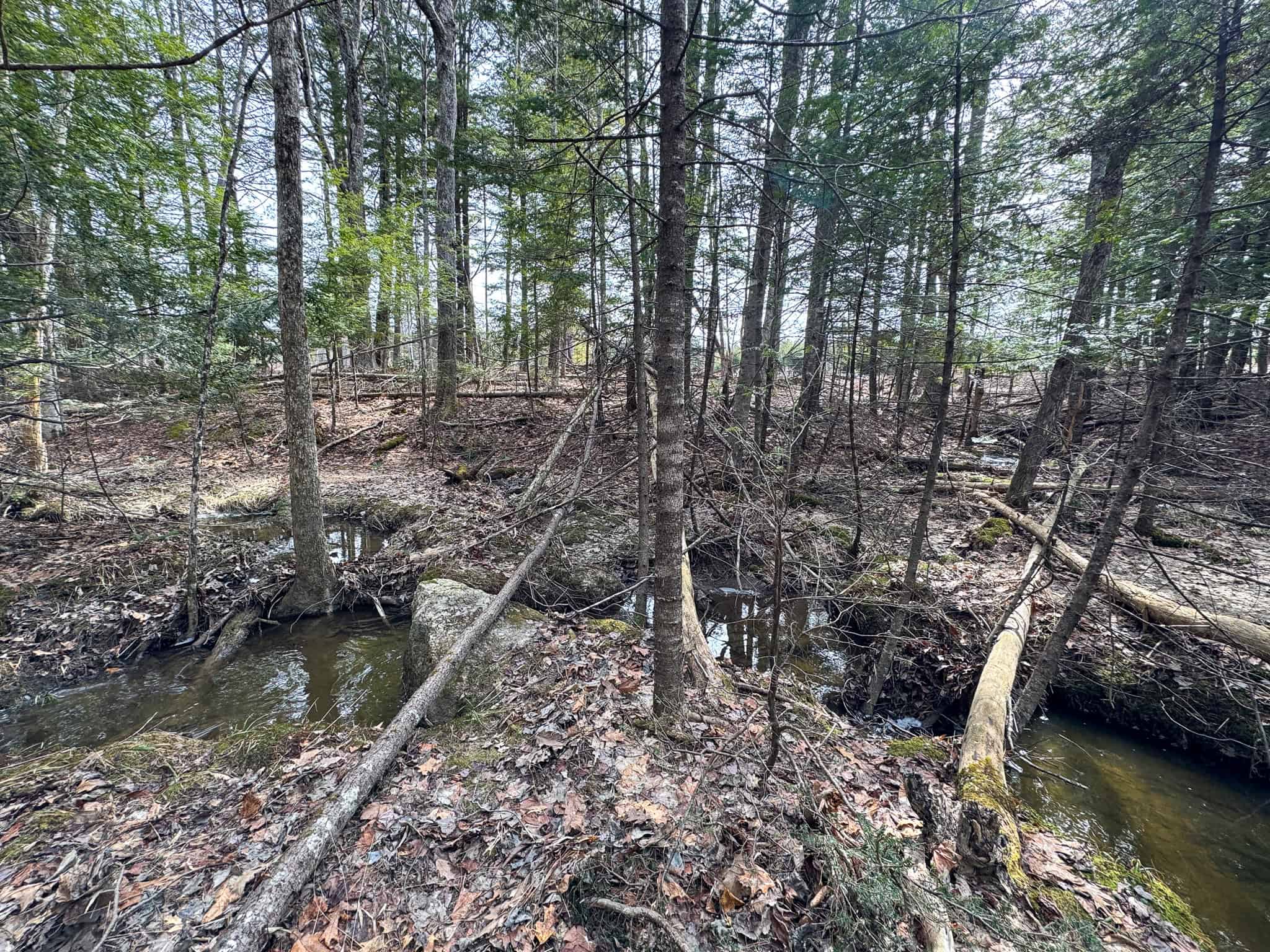 27.5 Acre Wooded Parcel – Brunswick, Maine
