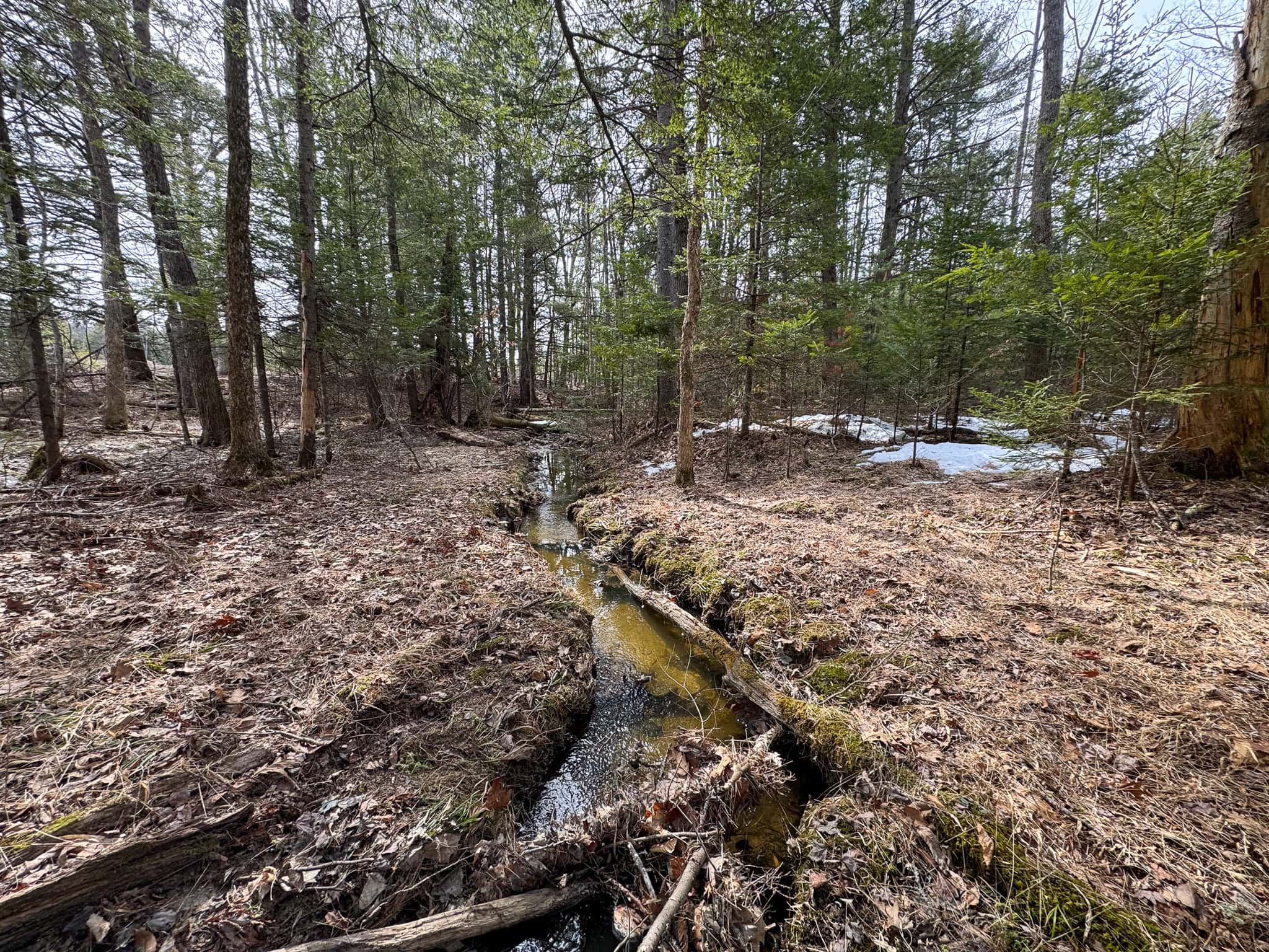 27.5 Acre Wooded Parcel – Brunswick, Maine
