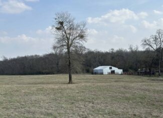East Texas Hunting/Recreational Land For Sale