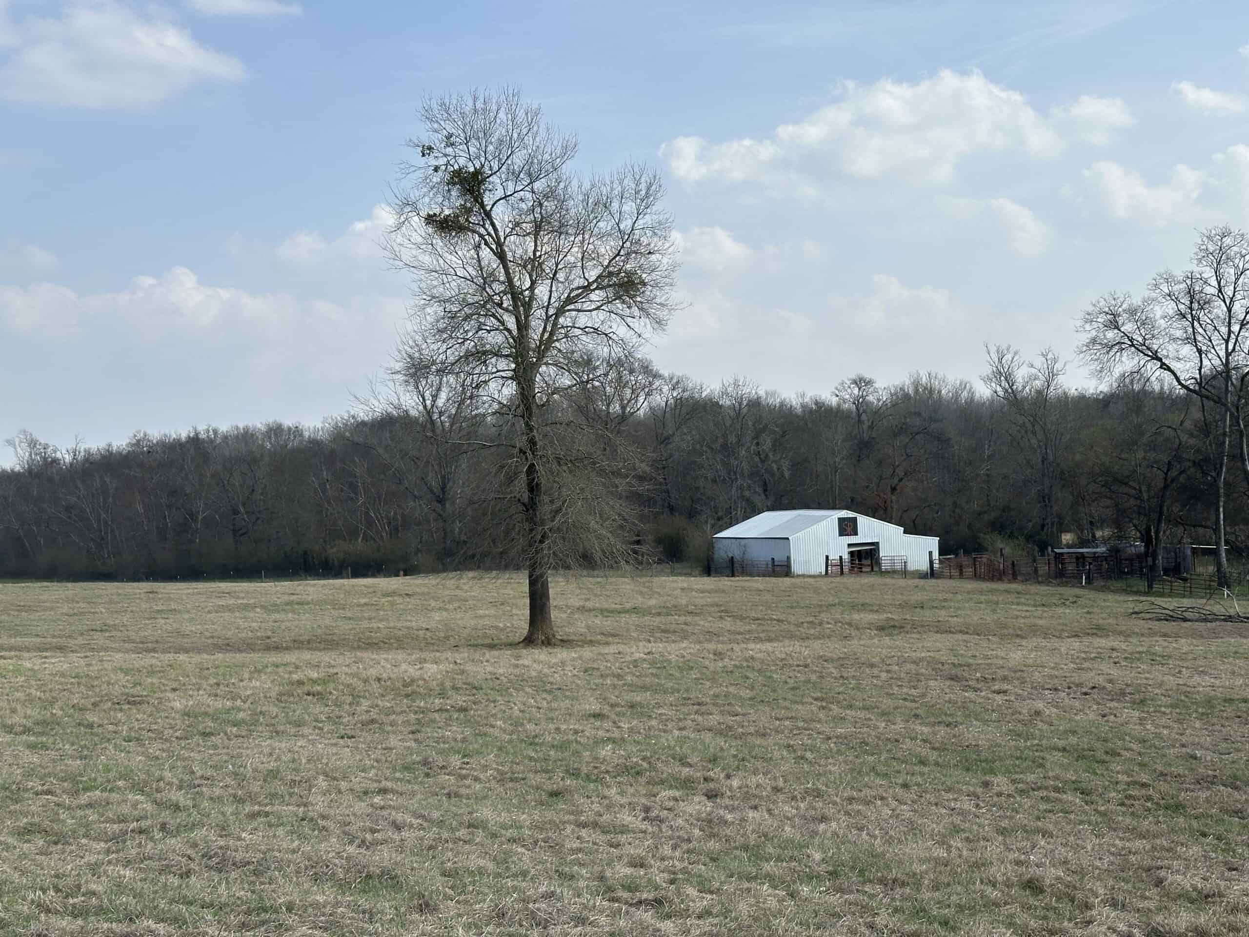 East Texas Hunting/Recreational Land For Sale