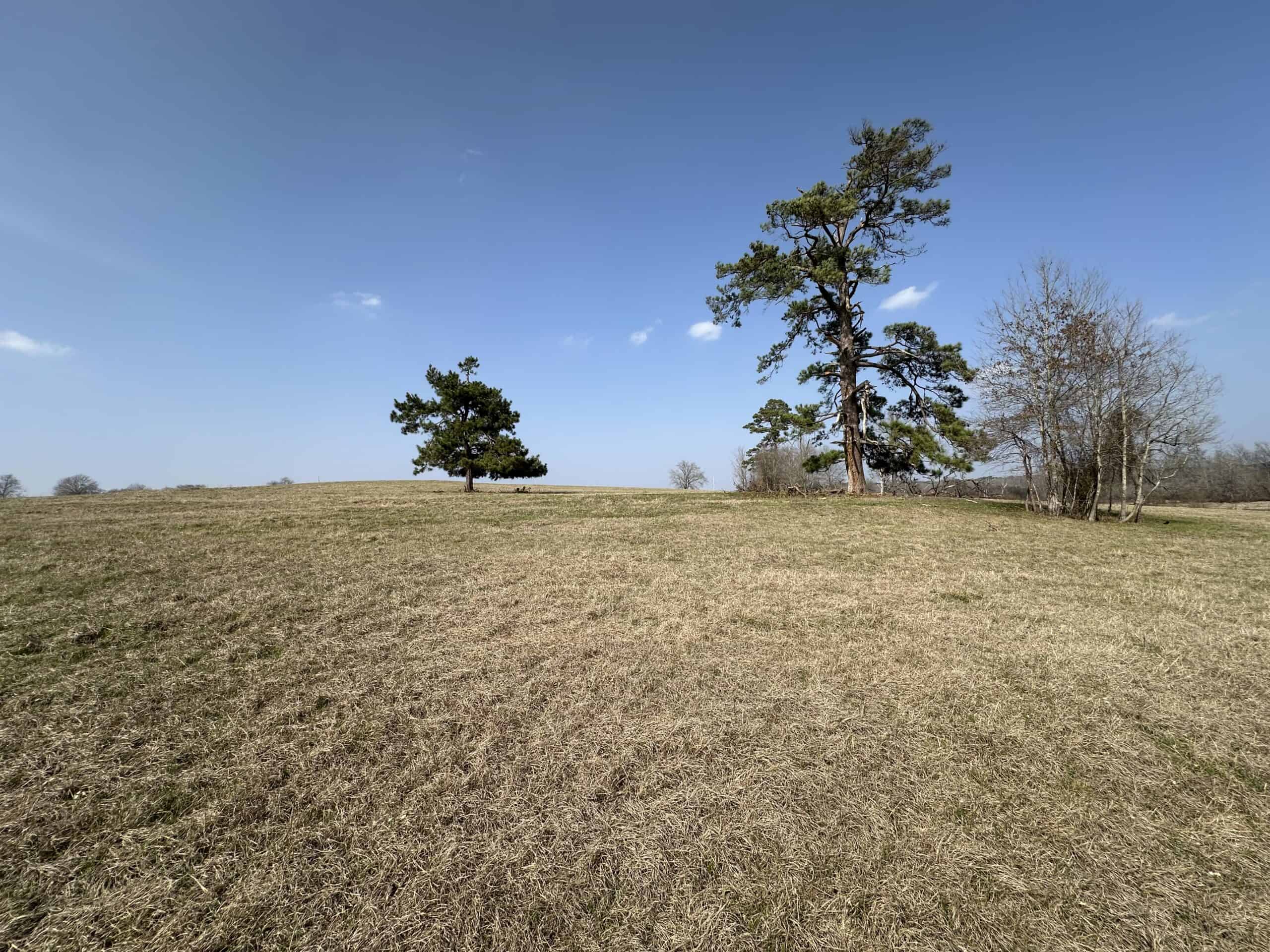 East Texas Hunting/Recreational Land For Sale