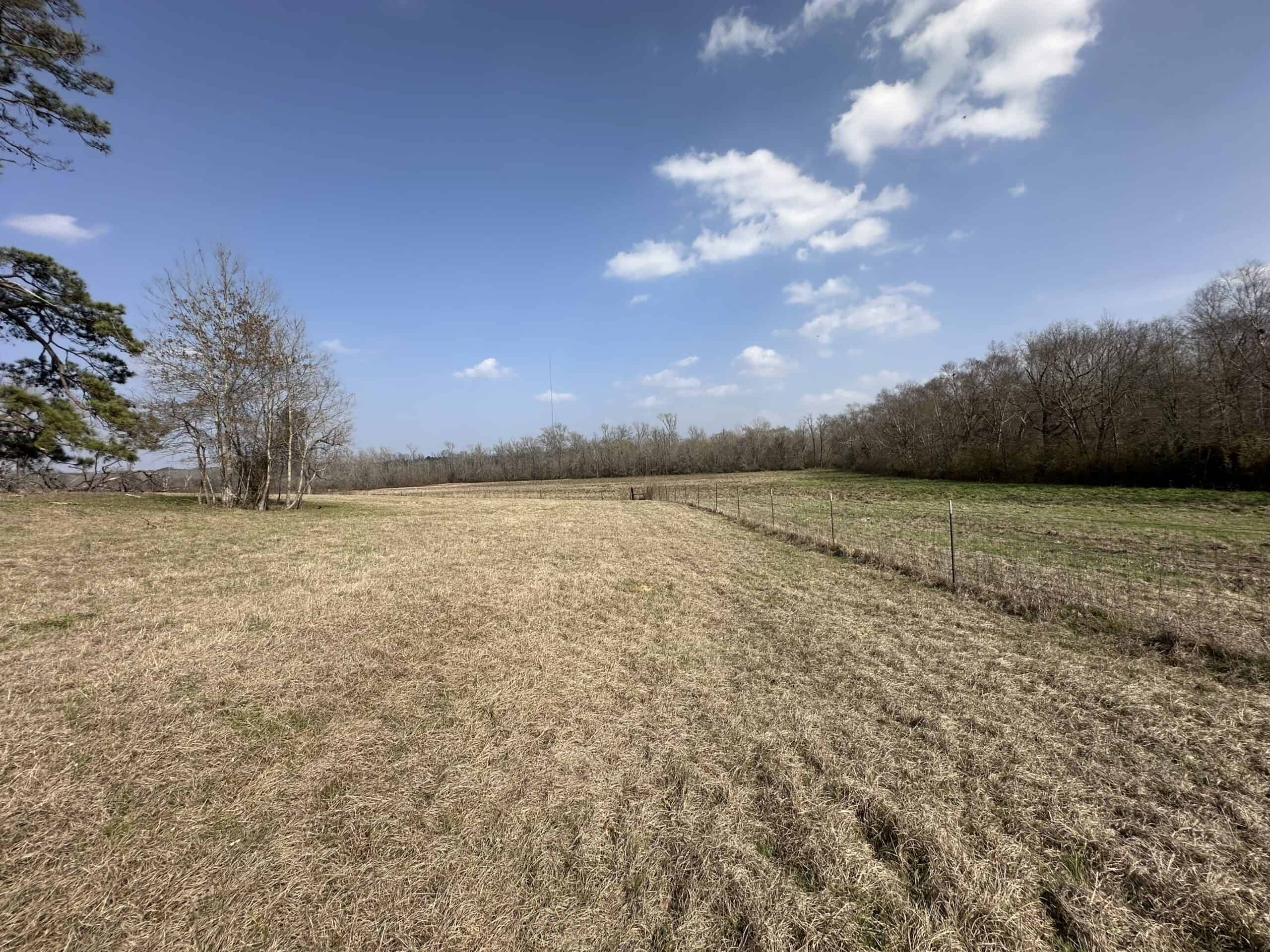 East Texas Hunting/Recreational Land For Sale