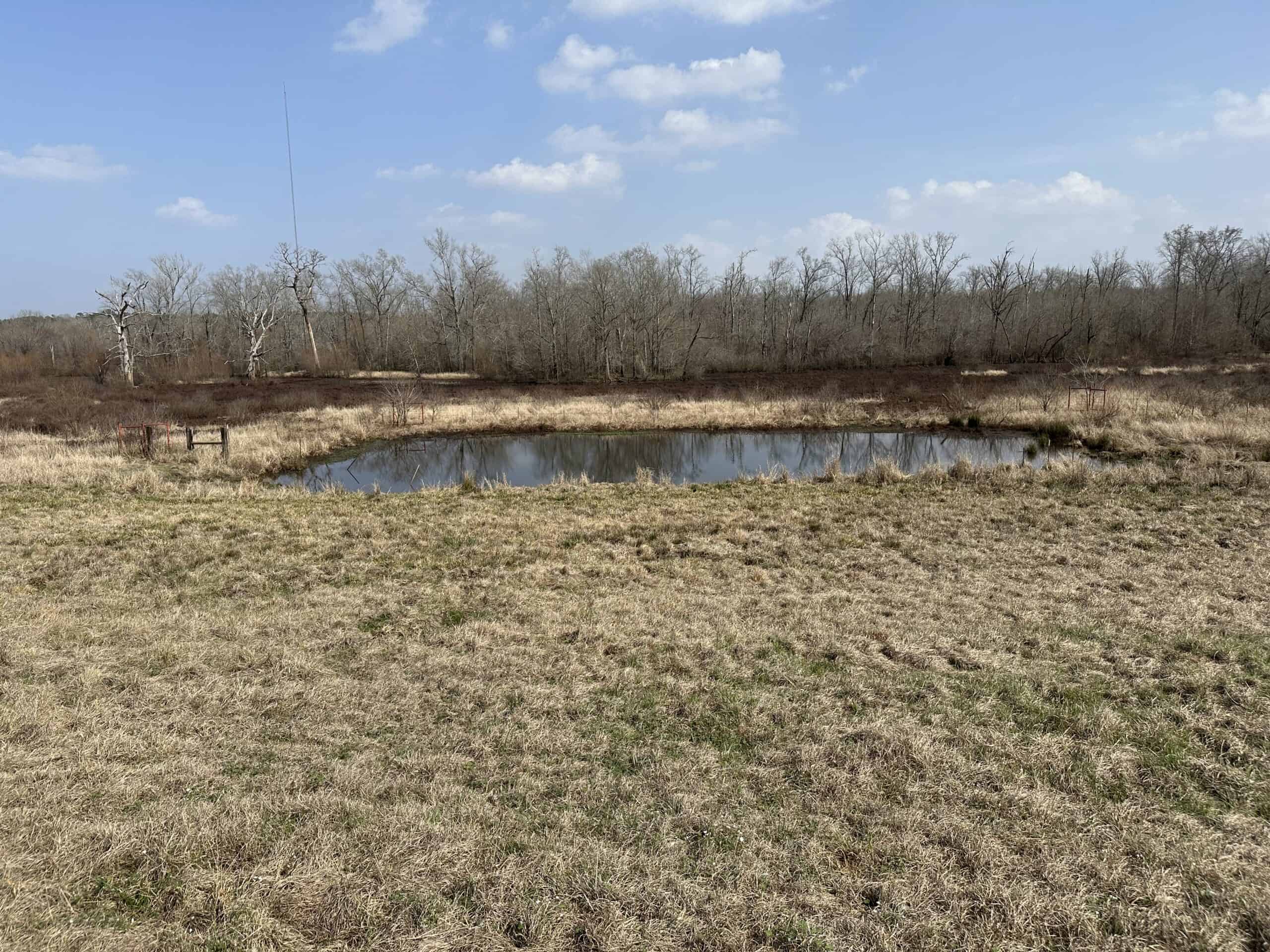 East Texas Hunting/Recreational Land For Sale