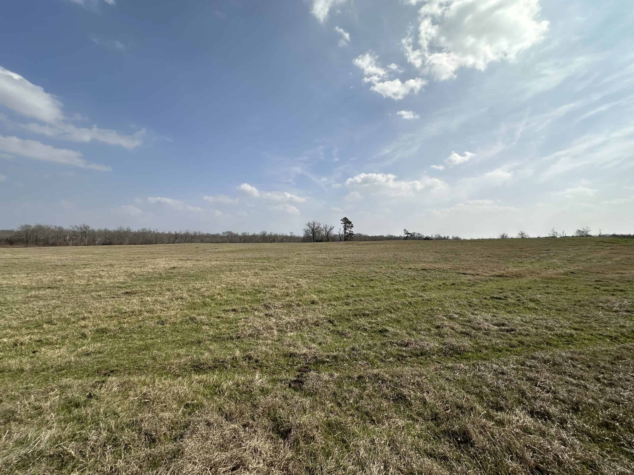 East Texas Hunting/Recreational Land For Sale