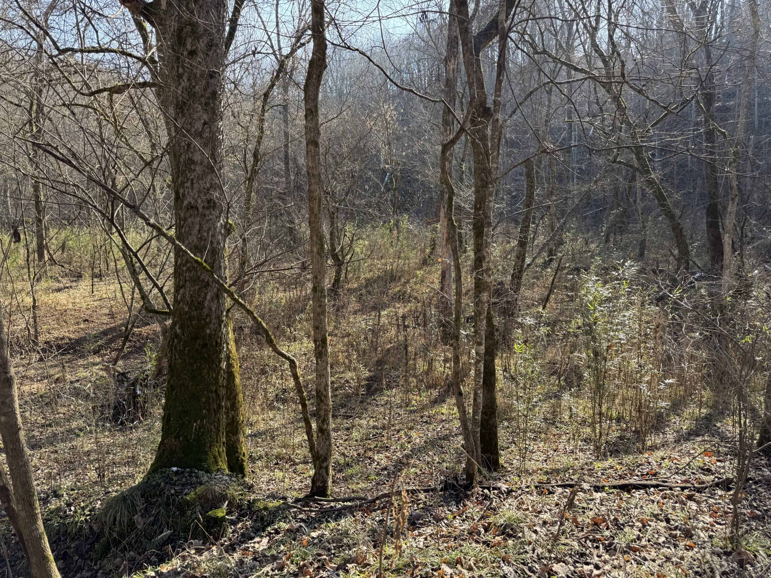 120 Acre Farm, Hunting Property, CREP Income, Creek Frontage