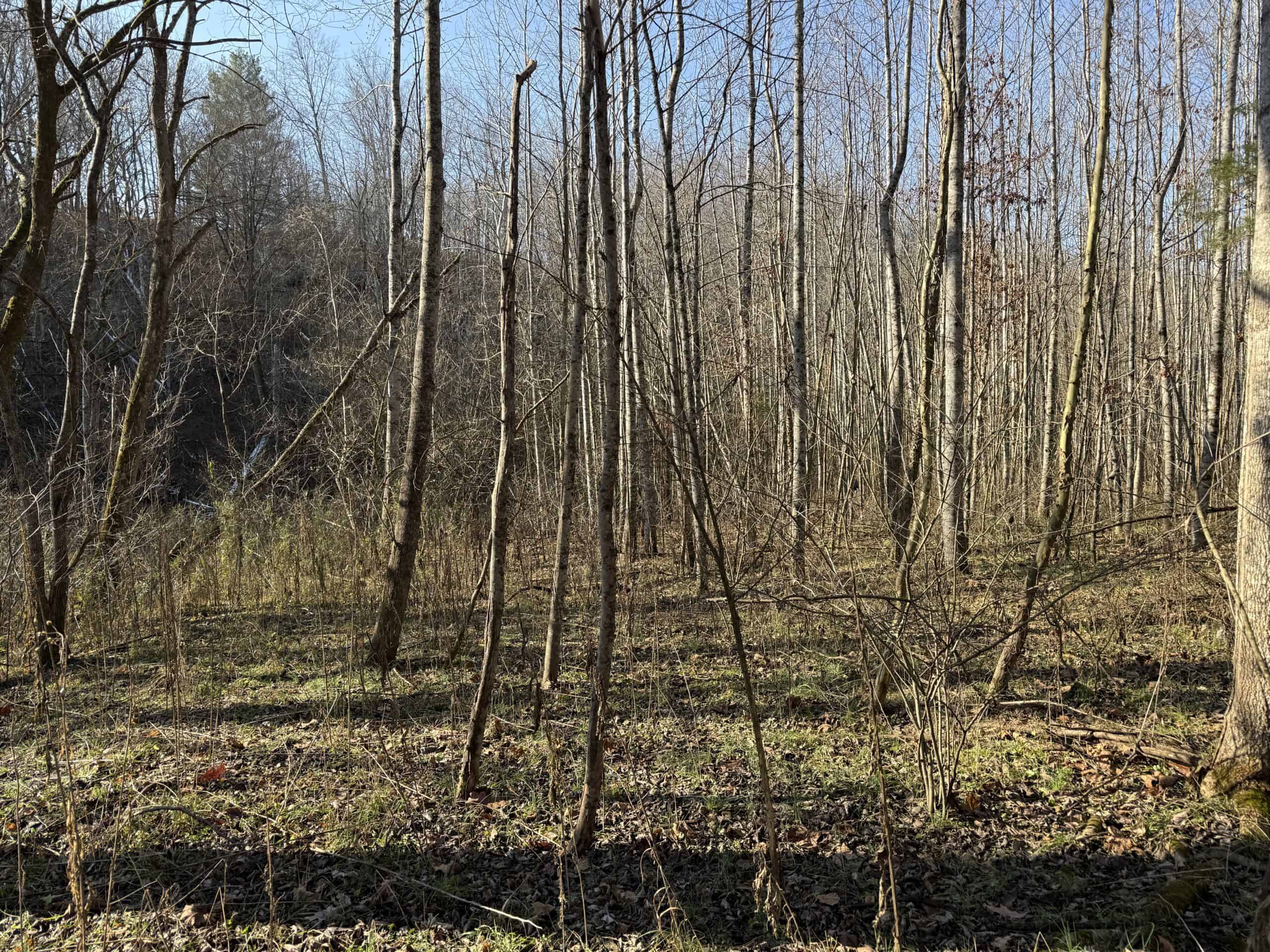120 Acre Farm, Hunting Property, CREP Income, Creek Frontage