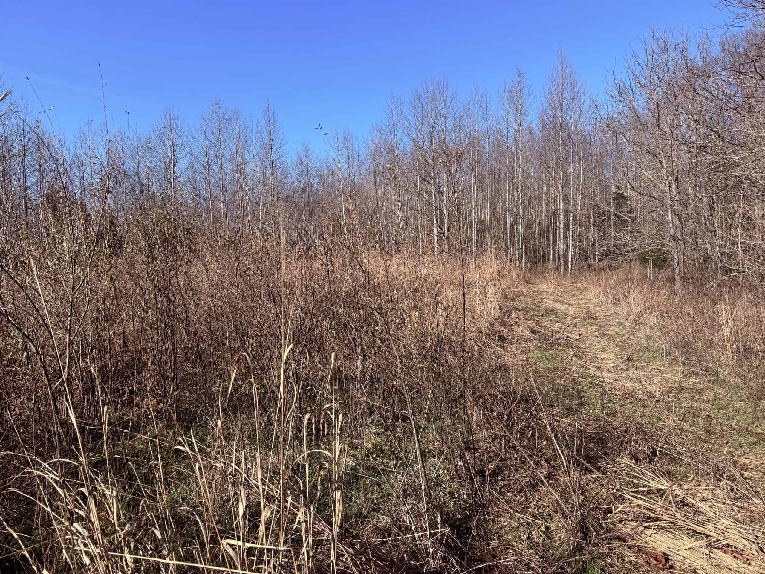 120 Acre Farm, Hunting Property, CREP Income, Creek Frontage