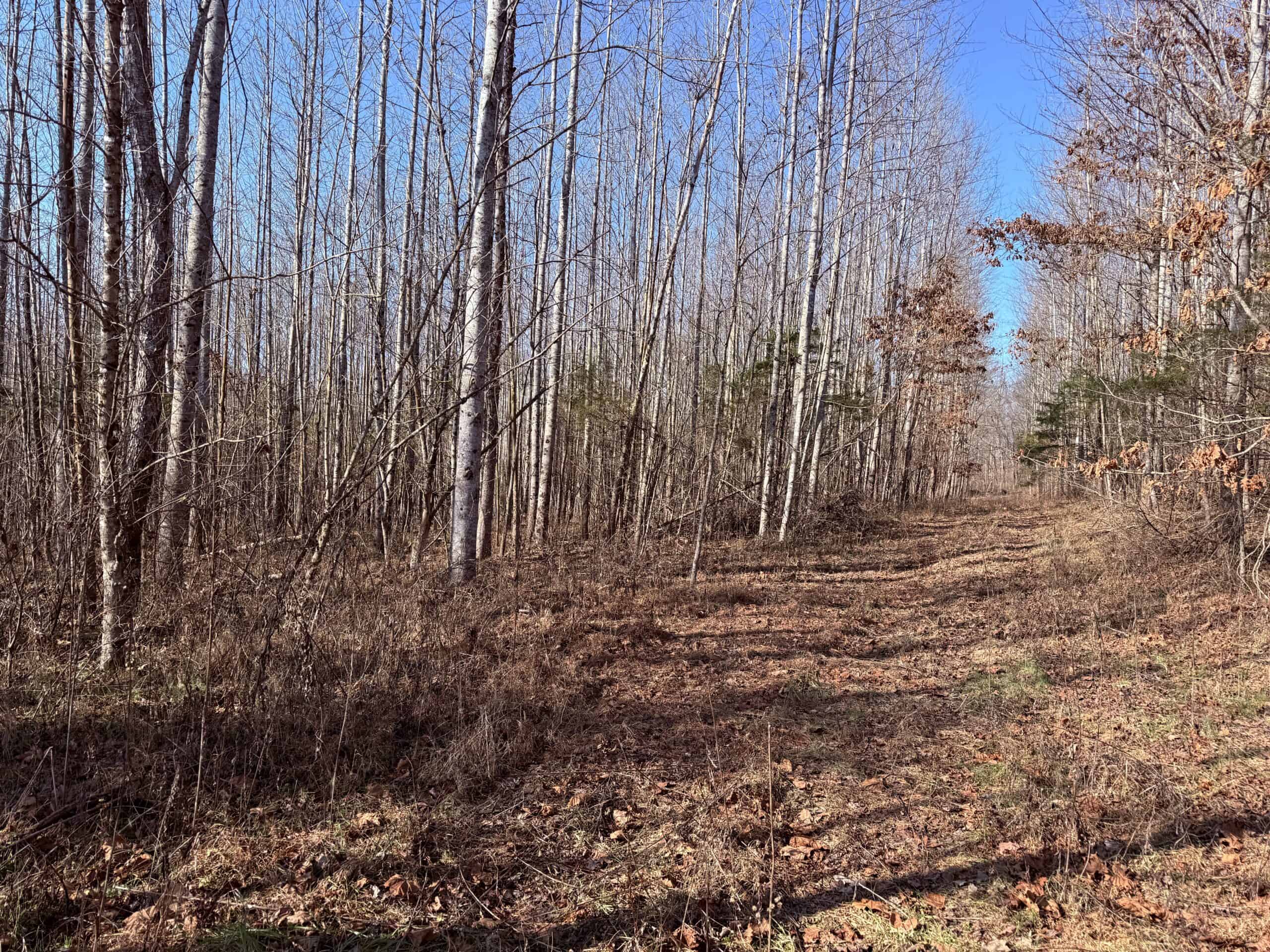 120 Acre Farm, Hunting Property, CREP Income, Creek Frontage