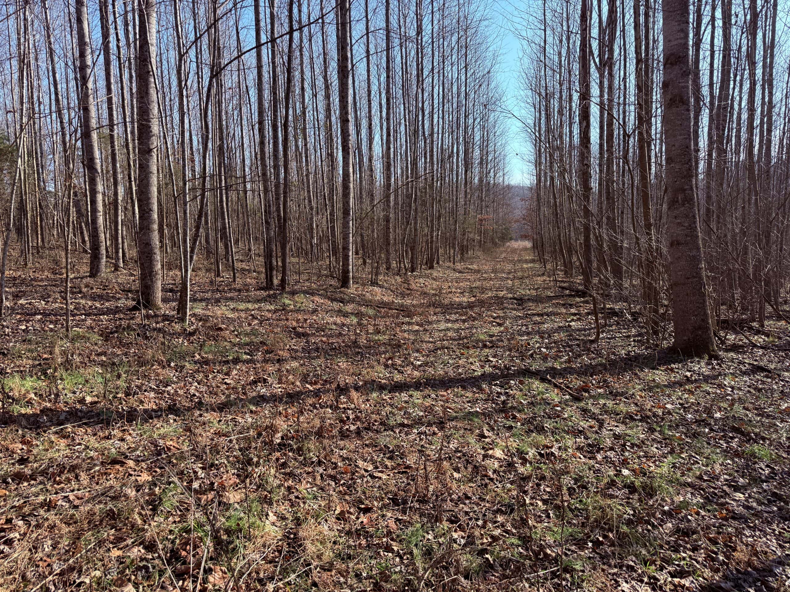 120 Acre Farm, Hunting Property, CREP Income, Creek Frontage