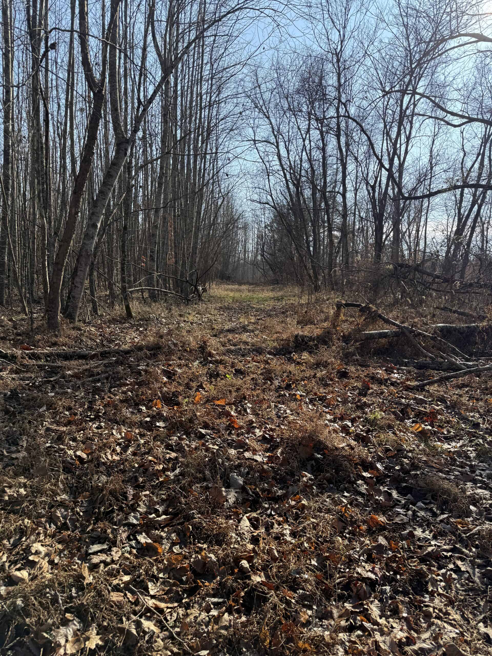 120 Acre Farm, Hunting Property, CREP Income, Creek Frontage