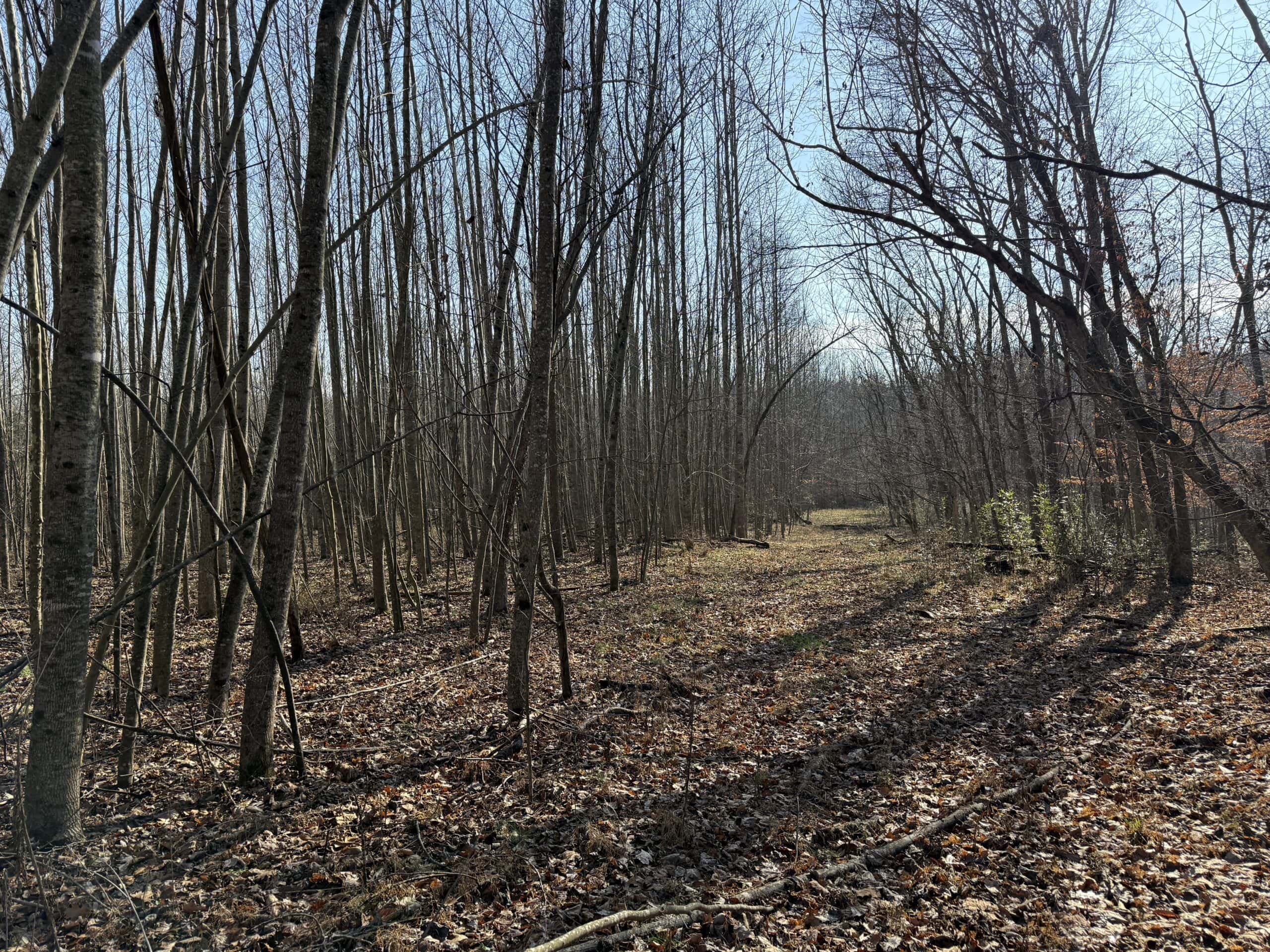 120 Acre Farm, Hunting Property, CREP Income, Creek Frontage