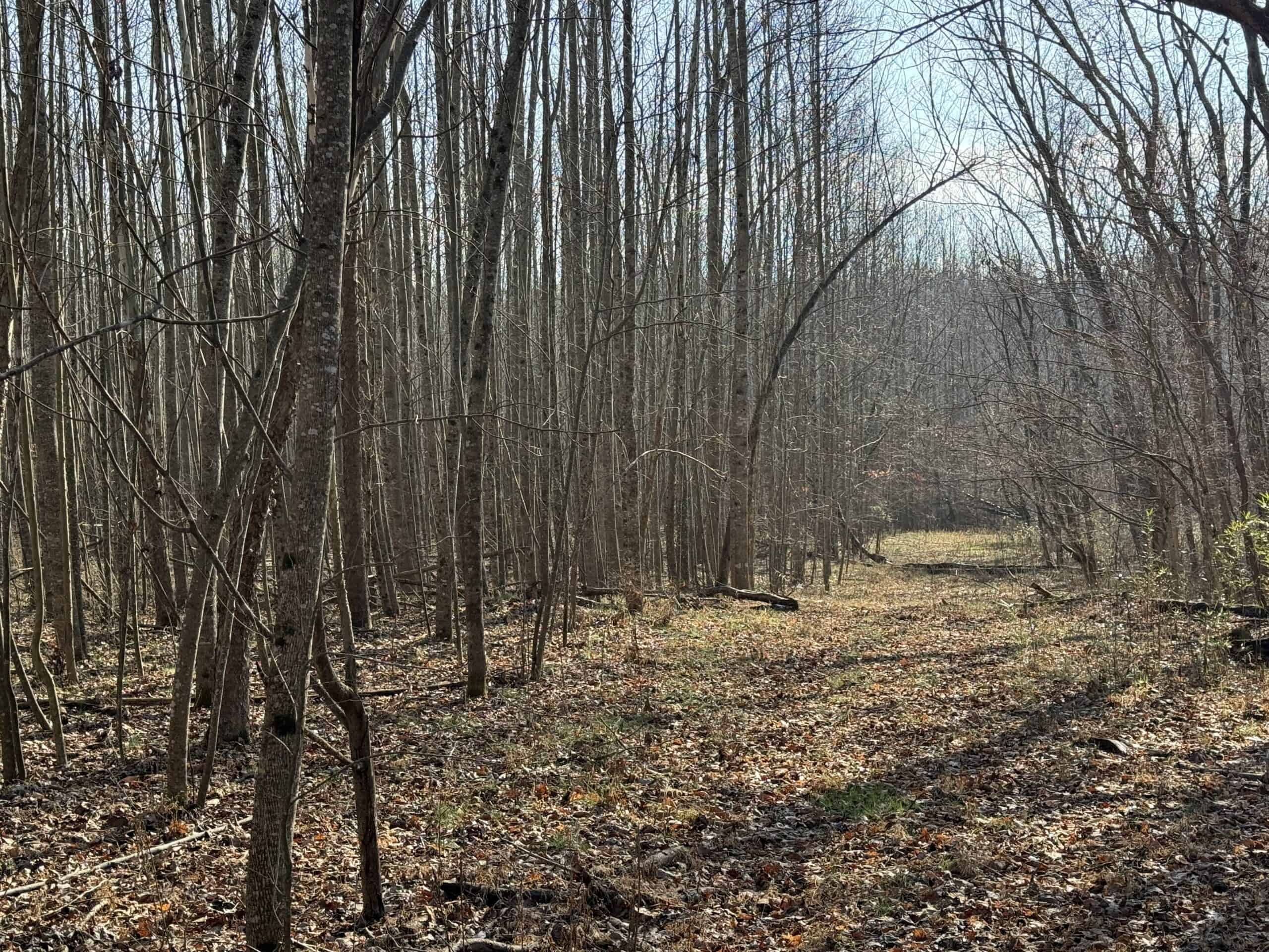 120 Acre Farm, Hunting Property, CREP Income, Creek Frontage