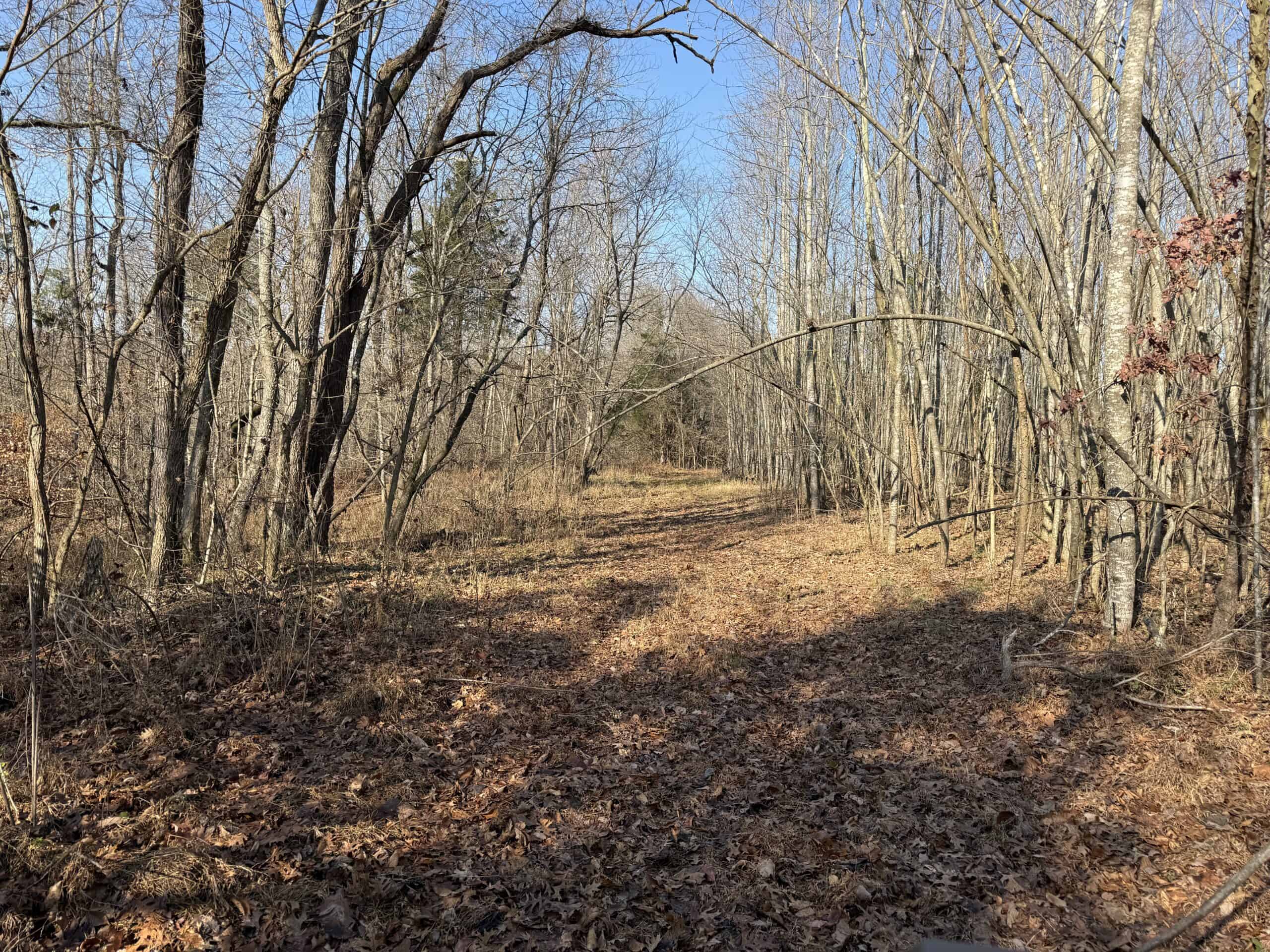 120 Acre Farm, Hunting Property, CREP Income, Creek Frontage