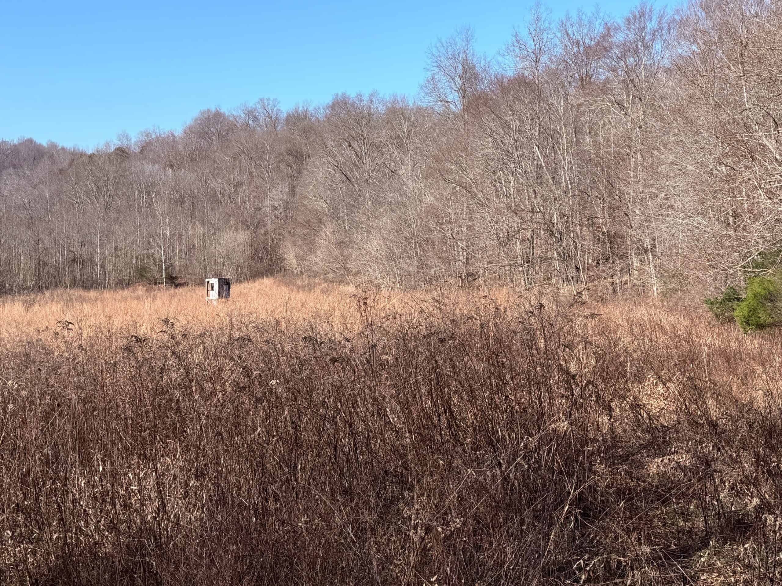 120 Acre Farm, Hunting Property, CREP Income, Creek Frontage