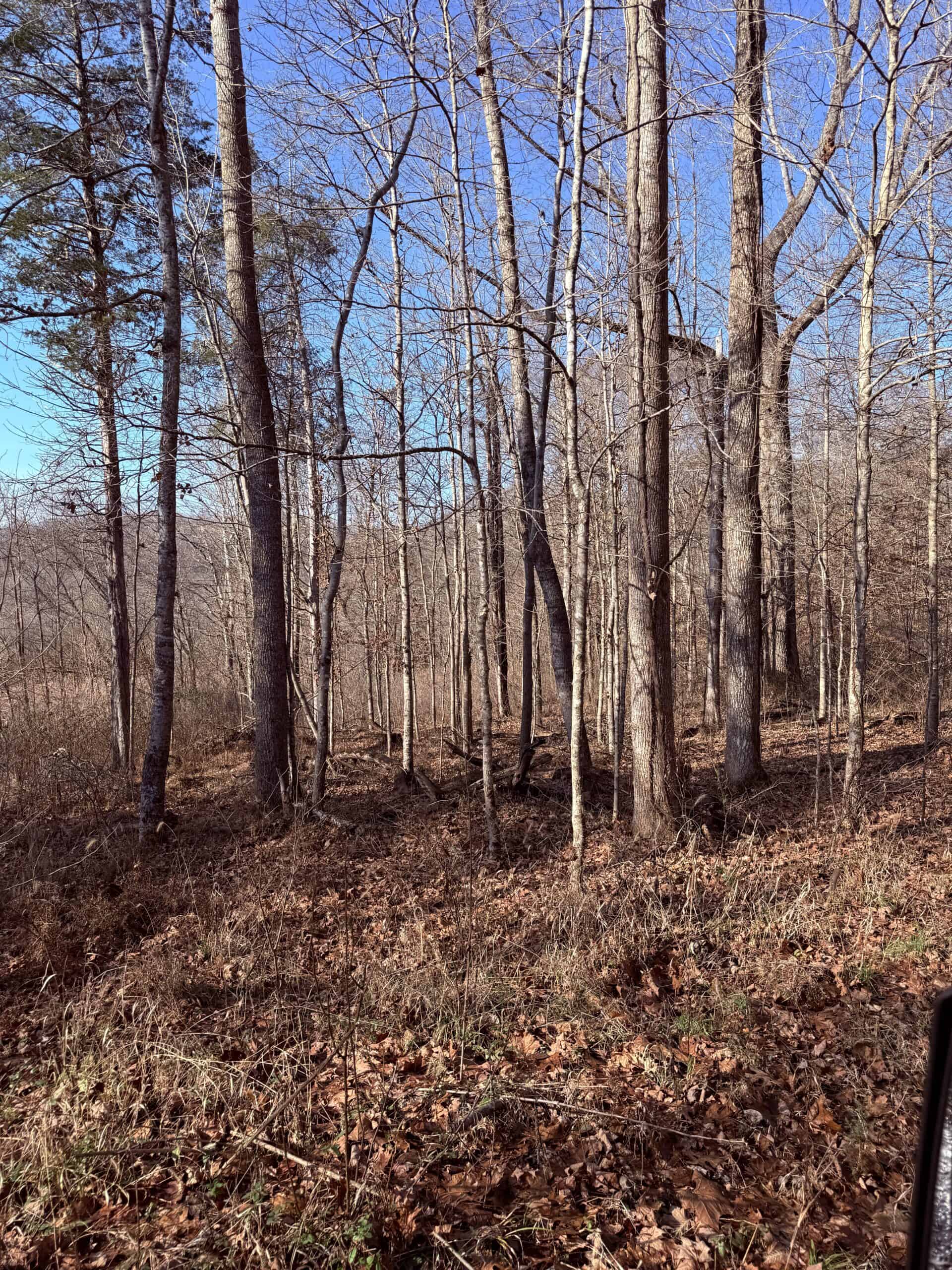 120 Acre Farm, Hunting Property, CREP Income, Creek Frontage