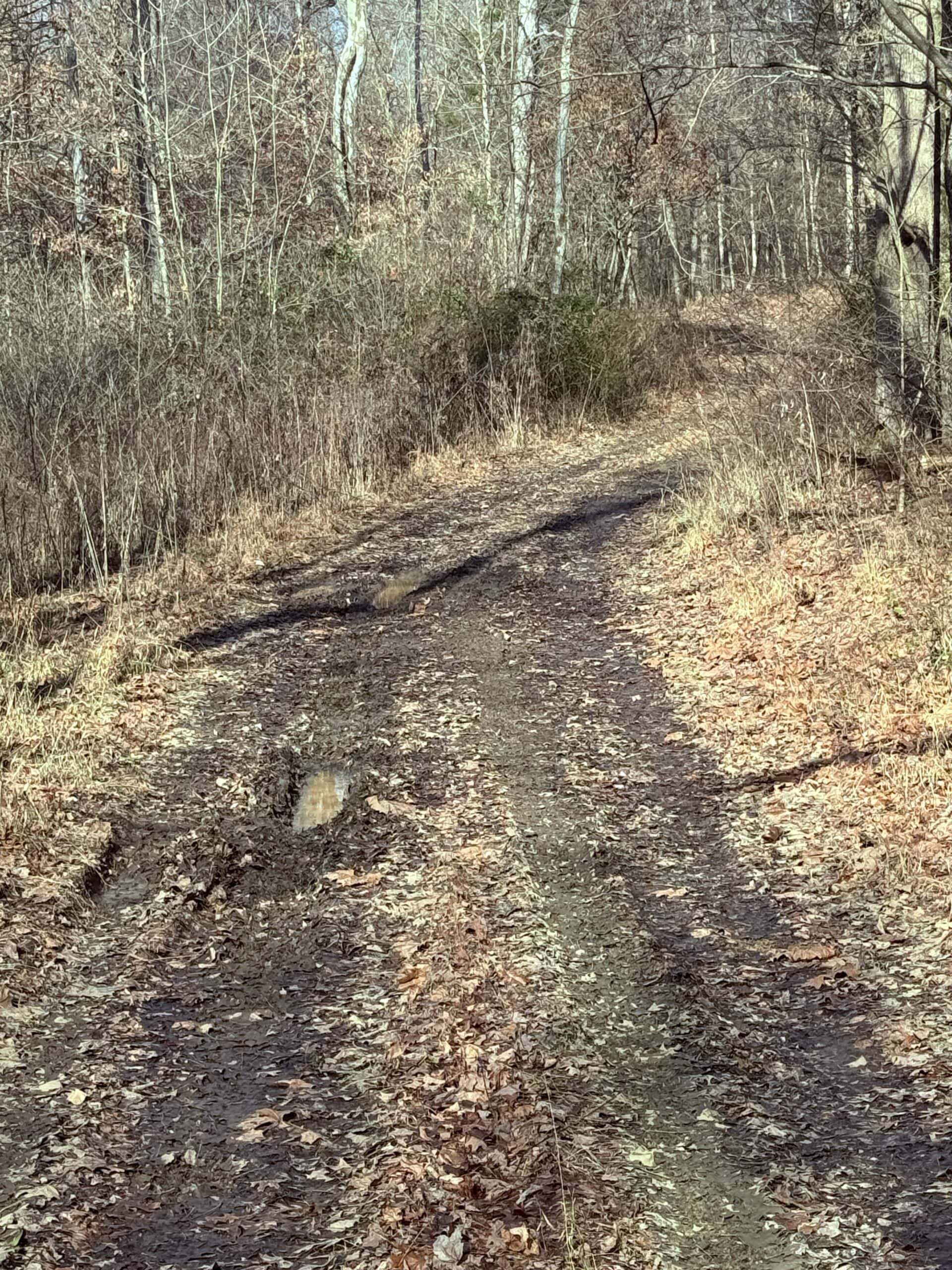 120 Acre Farm, Hunting Property, CREP Income, Creek Frontage
