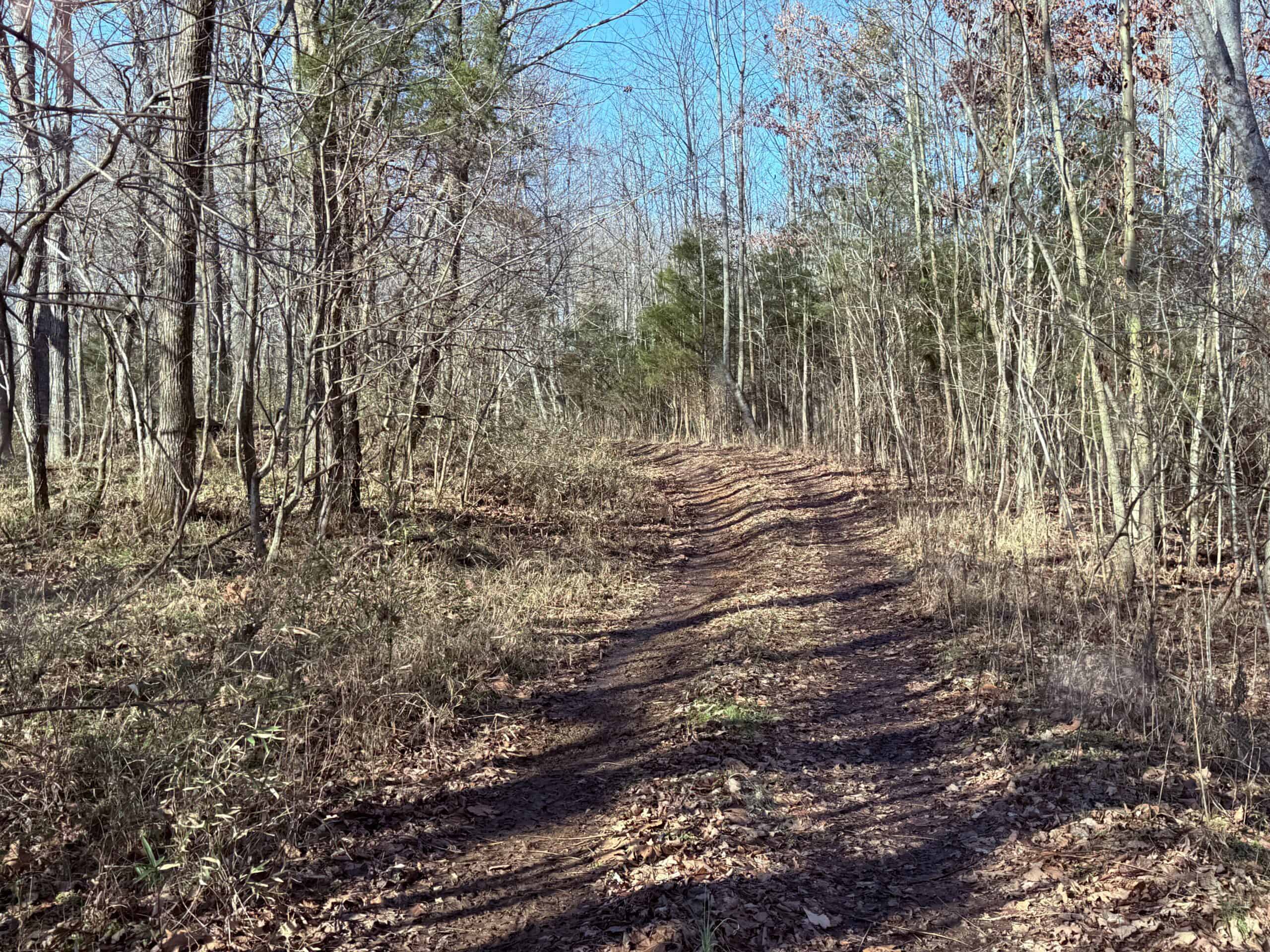 120 Acre Farm, Hunting Property, CREP Income, Creek Frontage
