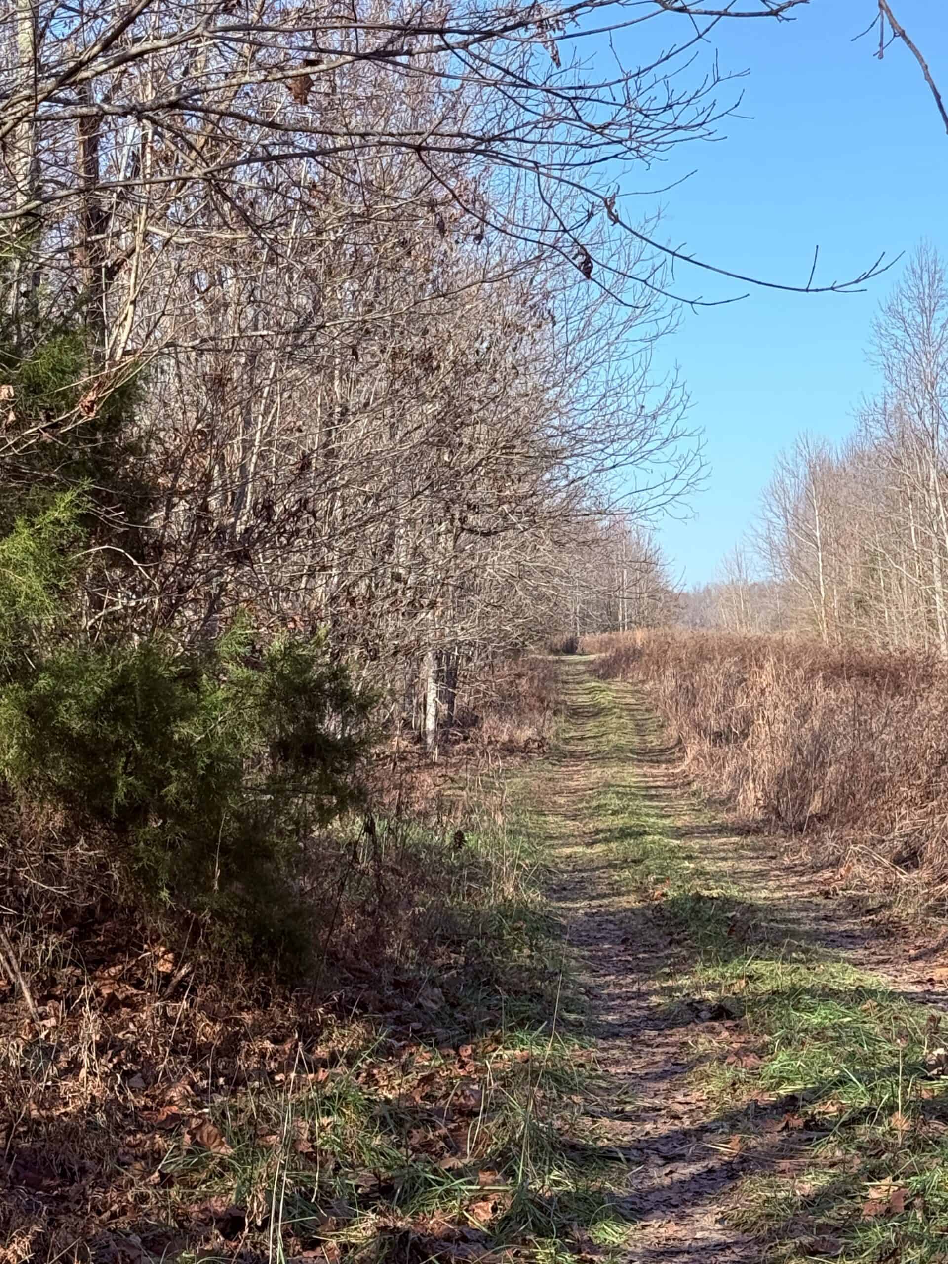 120 Acre Farm, Hunting Property, CREP Income, Creek Frontage