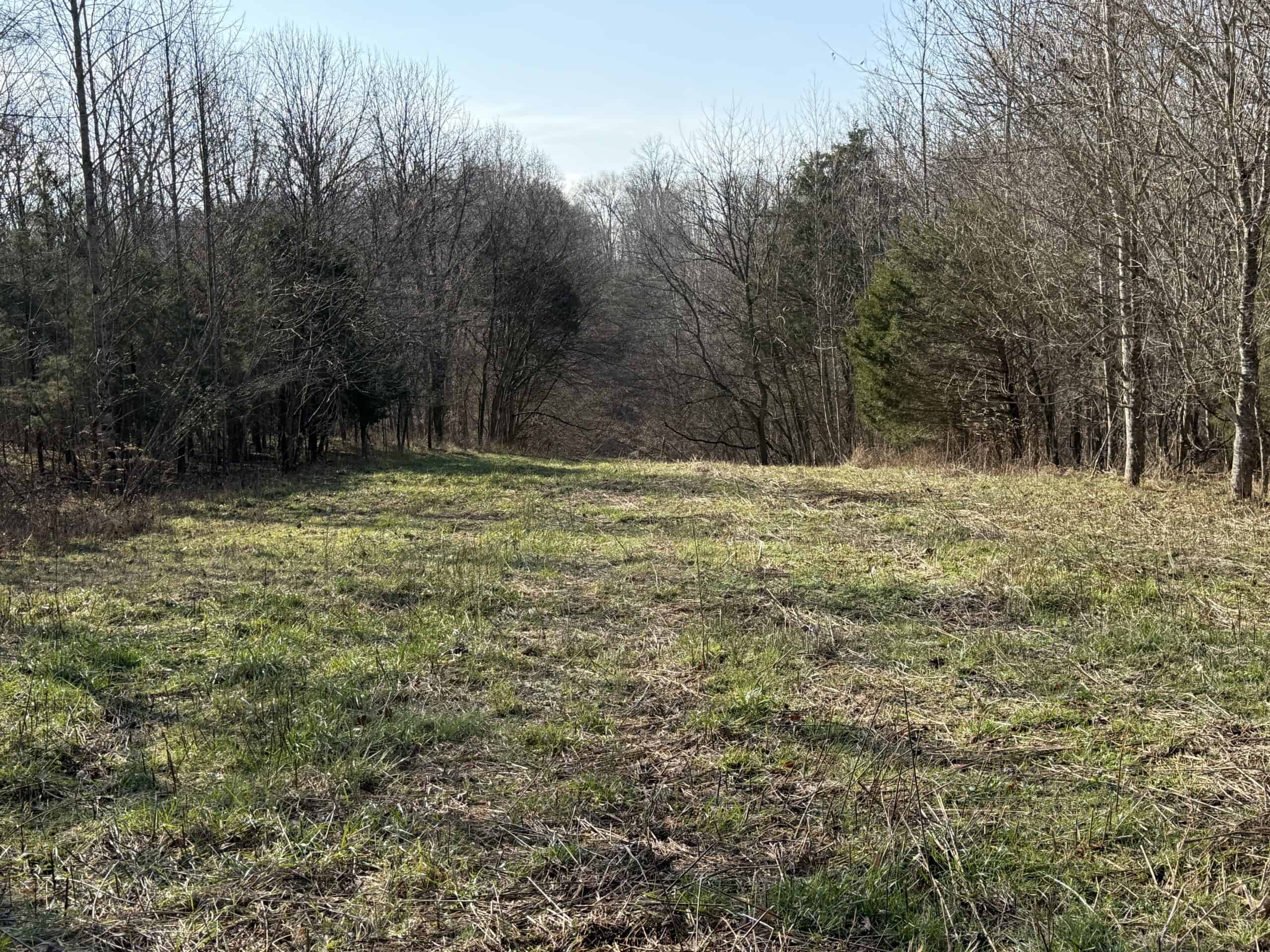 120 Acre Farm, Hunting Property, CREP Income, Creek Frontage