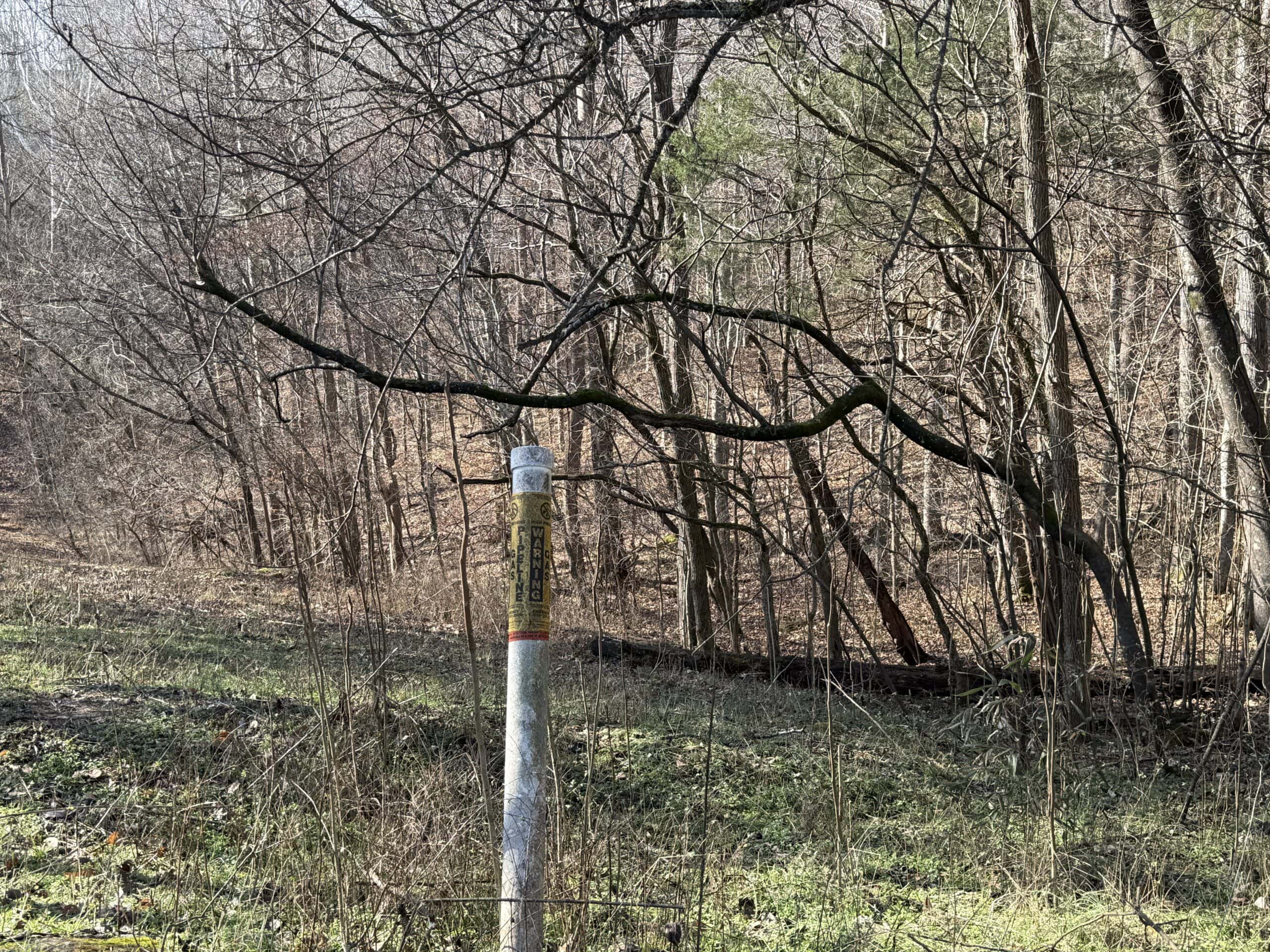 120 Acre Farm, Hunting Property, CREP Income, Creek Frontage