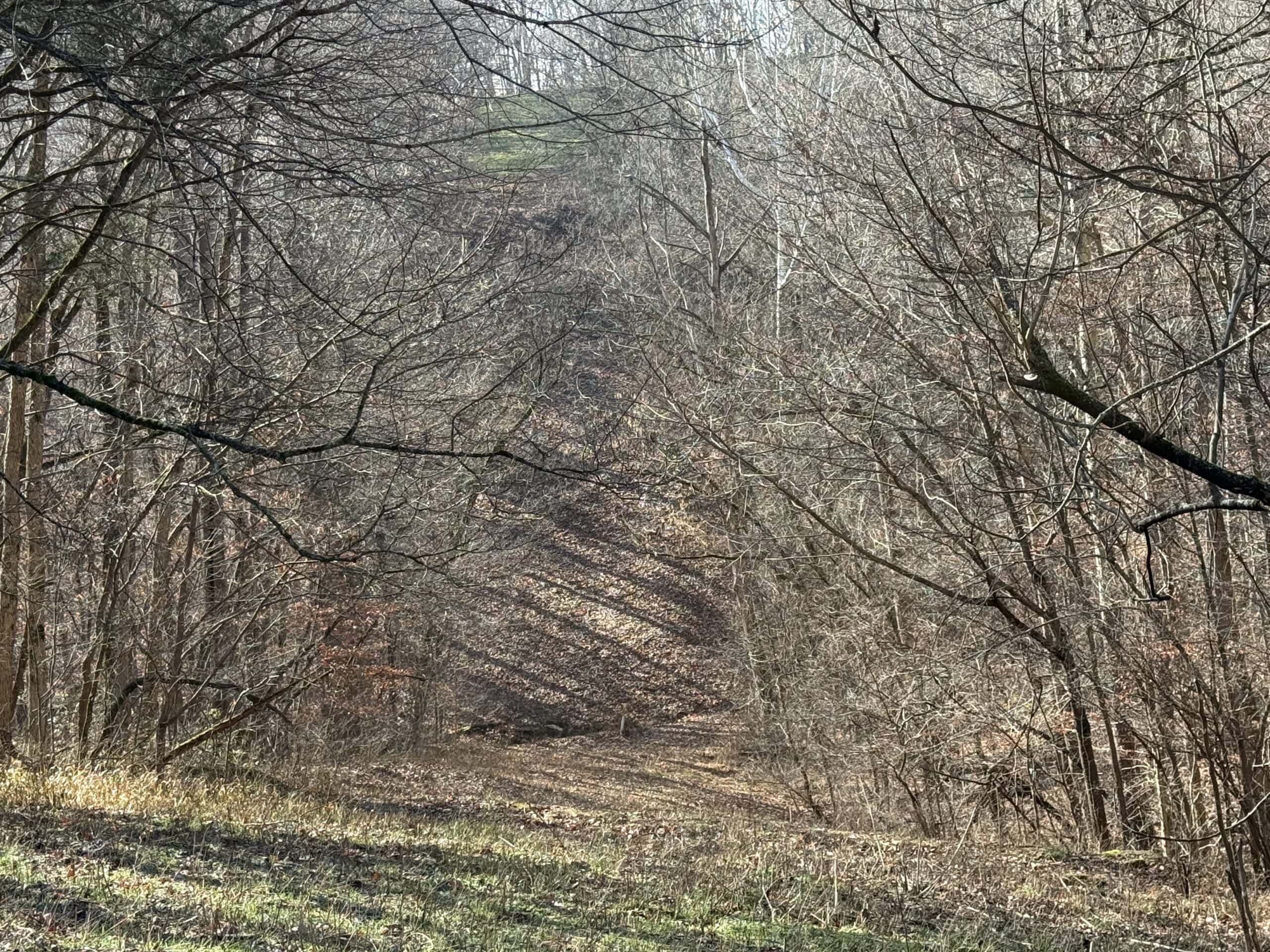 120 Acre Farm, Hunting Property, CREP Income, Creek Frontage