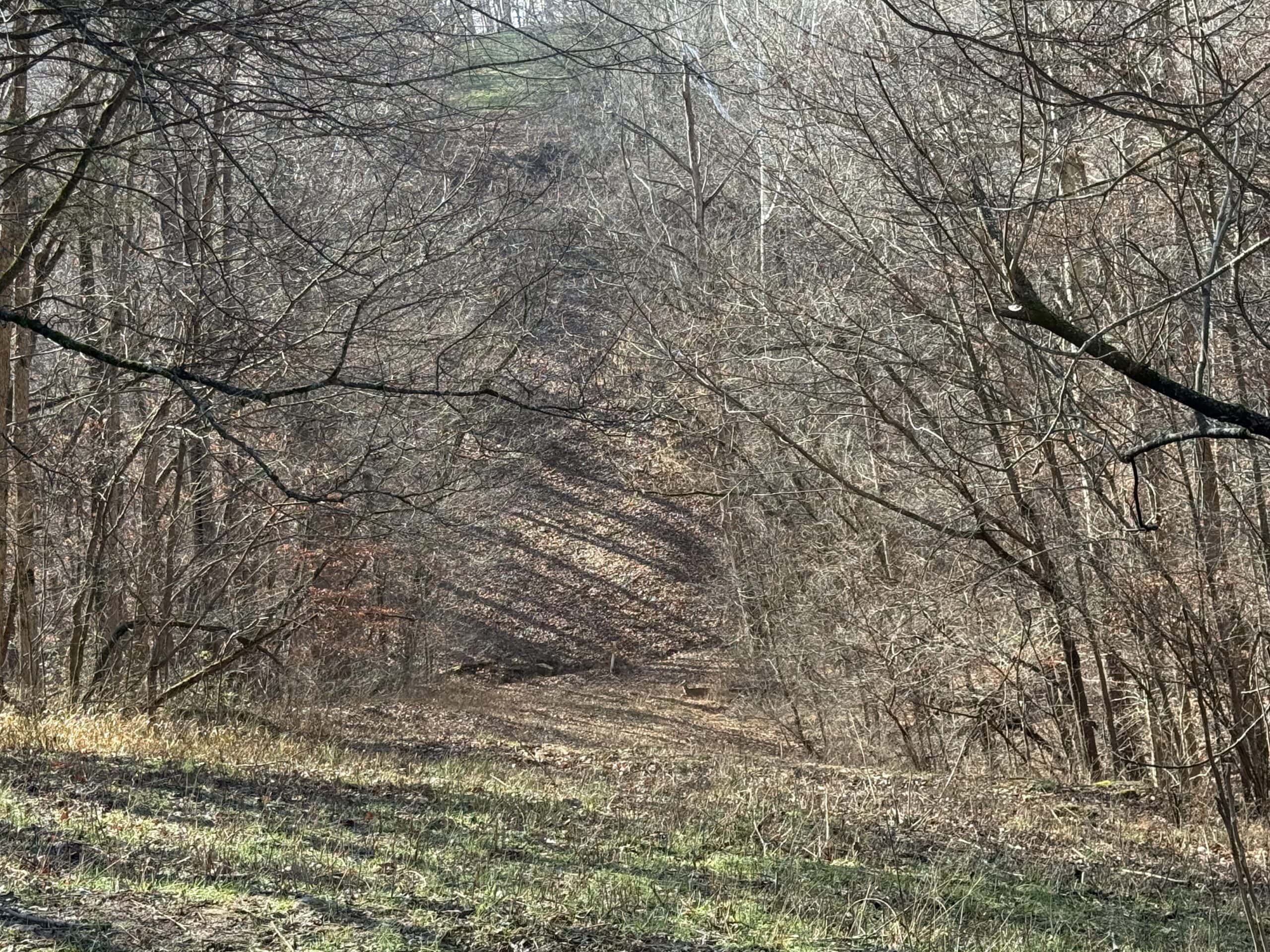 120 Acre Farm, Hunting Property, CREP Income, Creek Frontage
