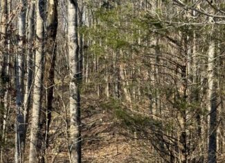 120 Acre Farm, Hunting Property, CREP Income, Creek Frontage