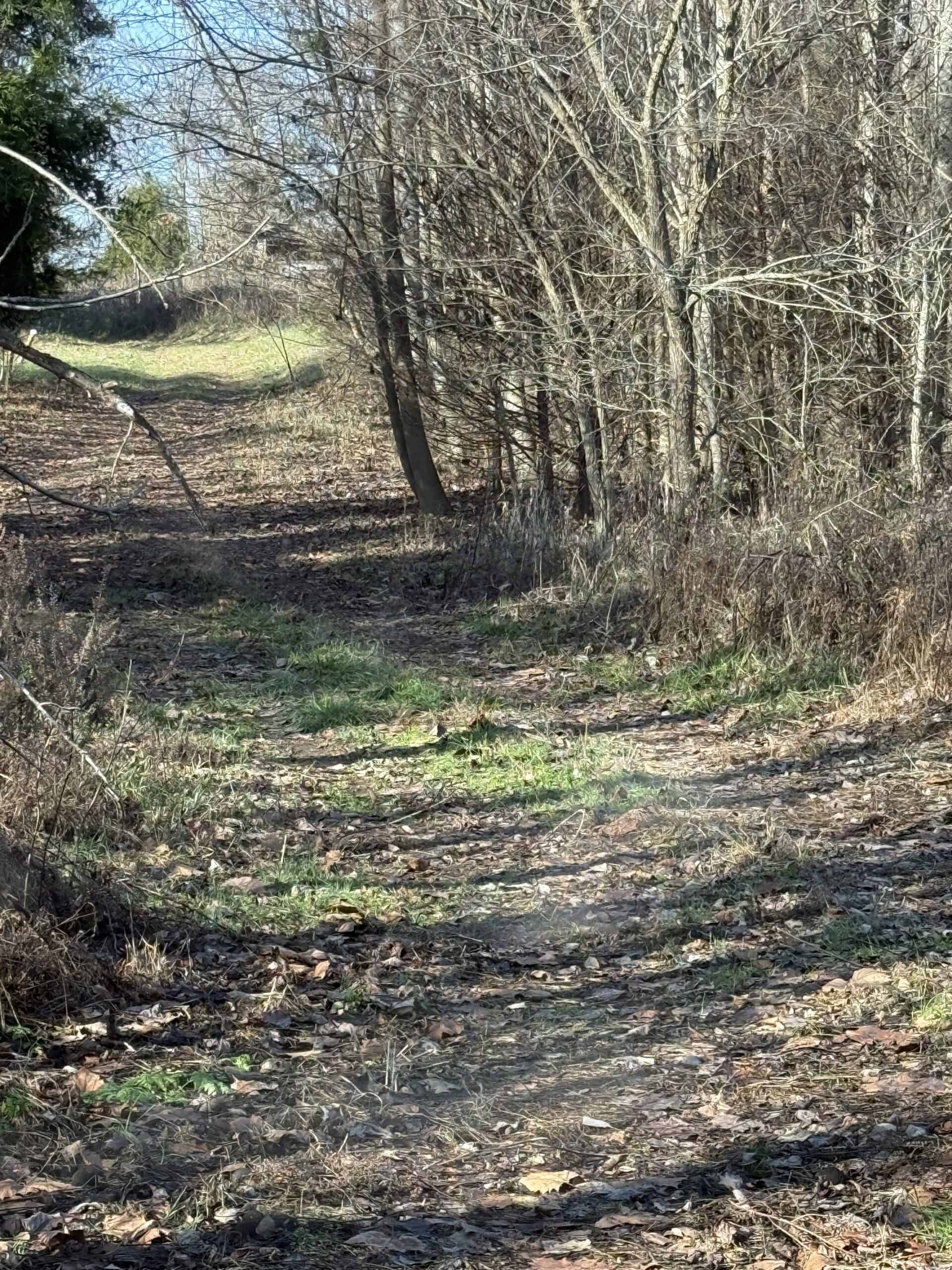 120 Acre Farm, Hunting Property, CREP Income, Creek Frontage
