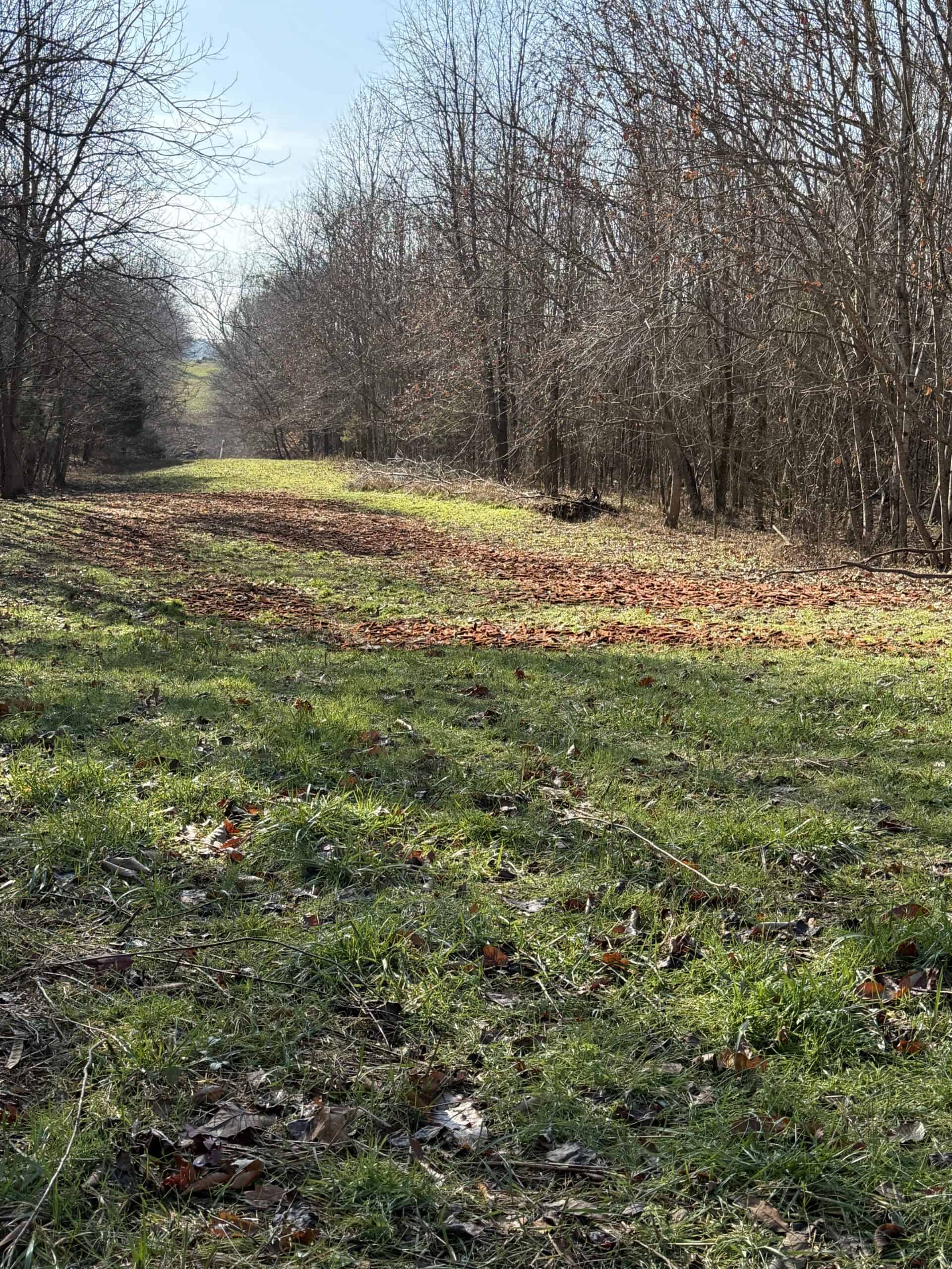 120 Acre Farm, Hunting Property, CREP Income, Creek Frontage